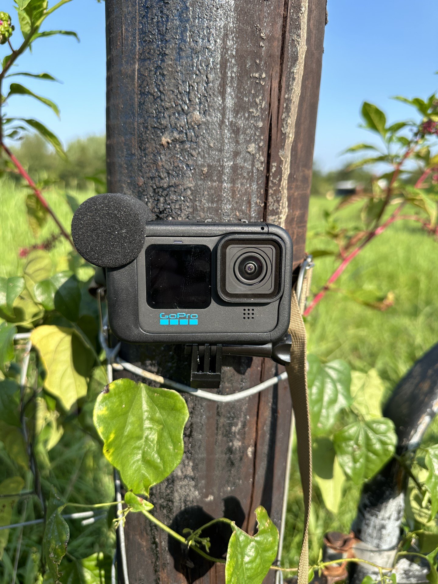 GoPro Strap 2.jpg