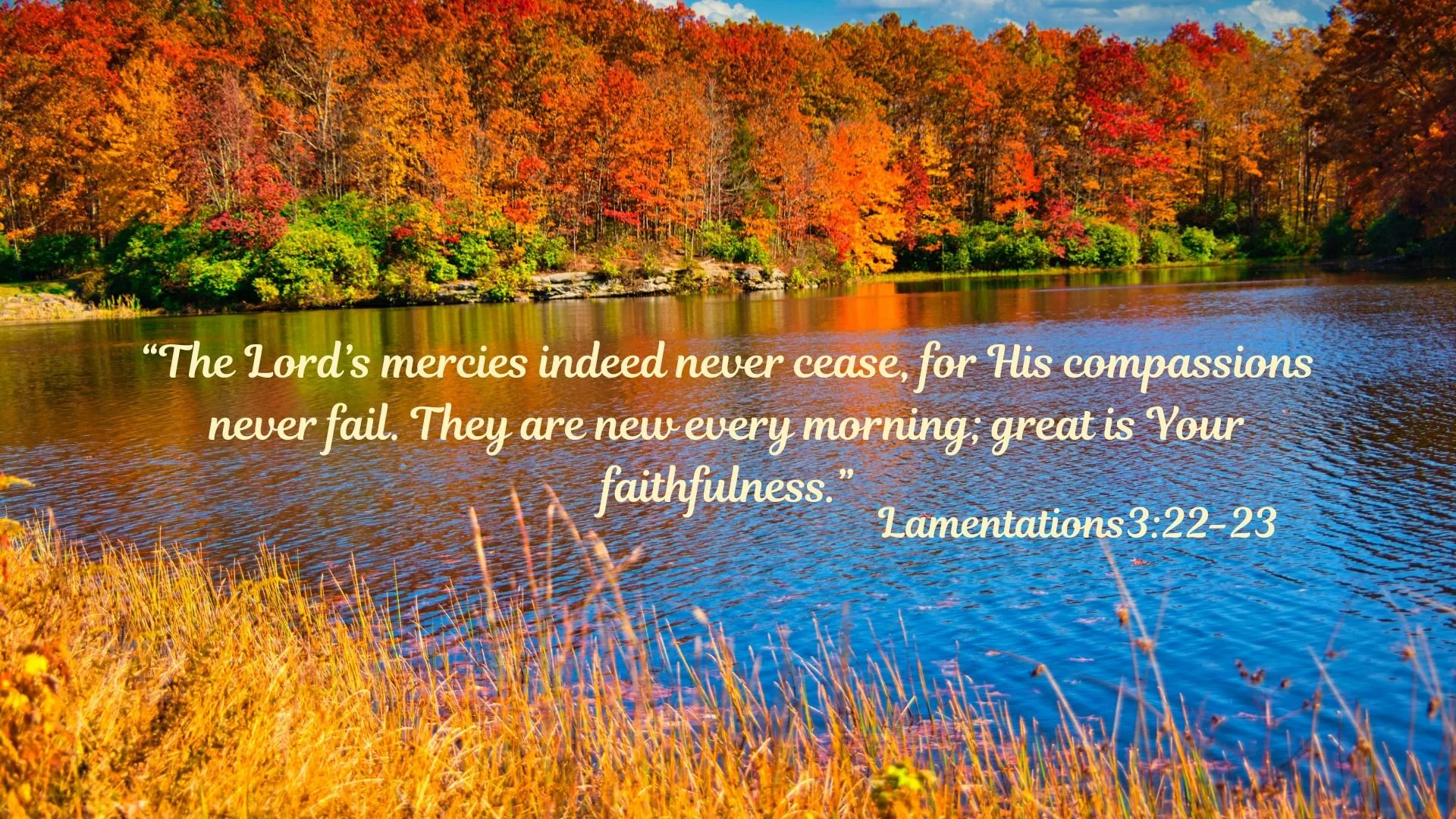 FB-Web Cover Photo.jpg