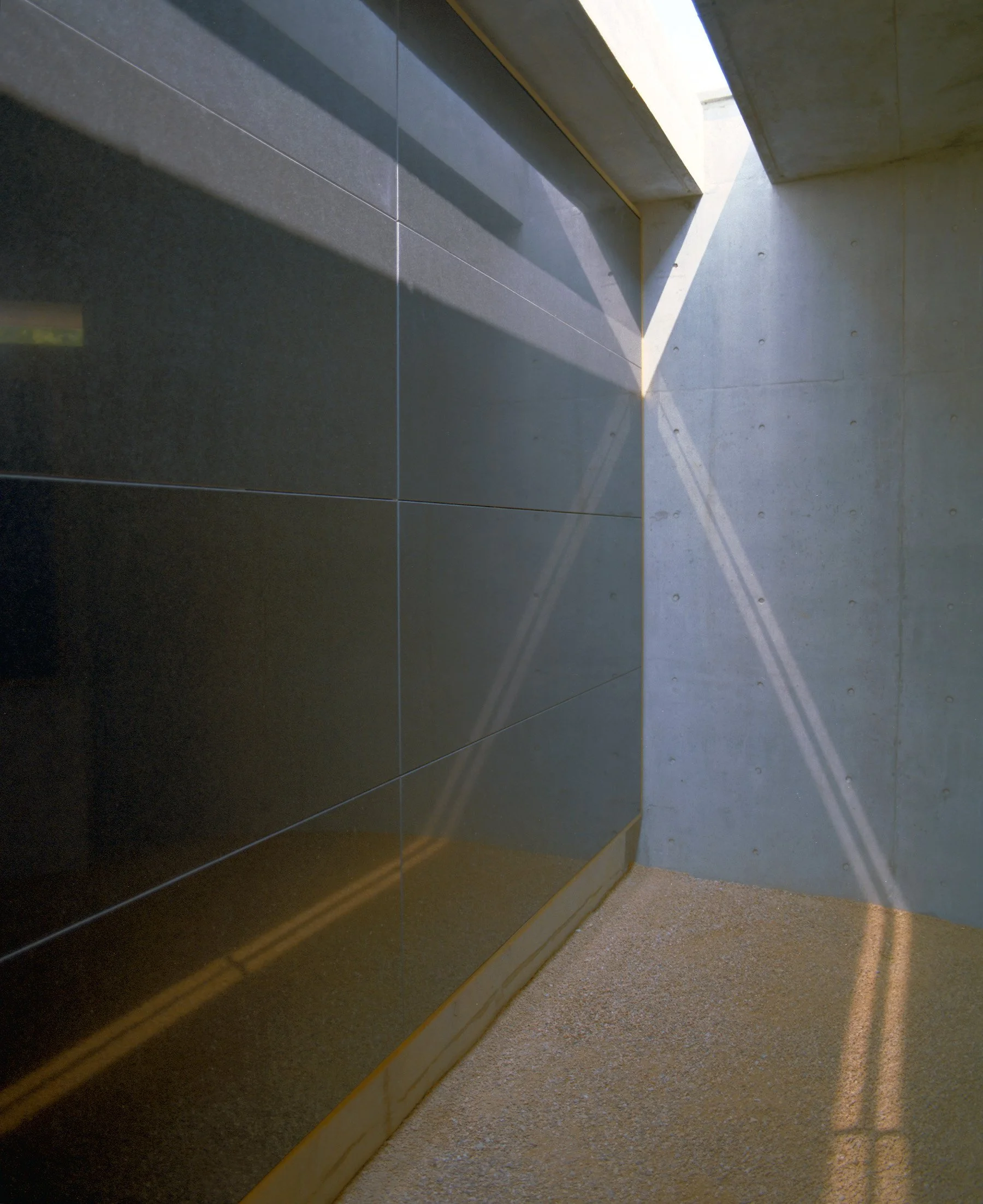 Richmond architecture firm SMBW's design for Belvedere Gardens 