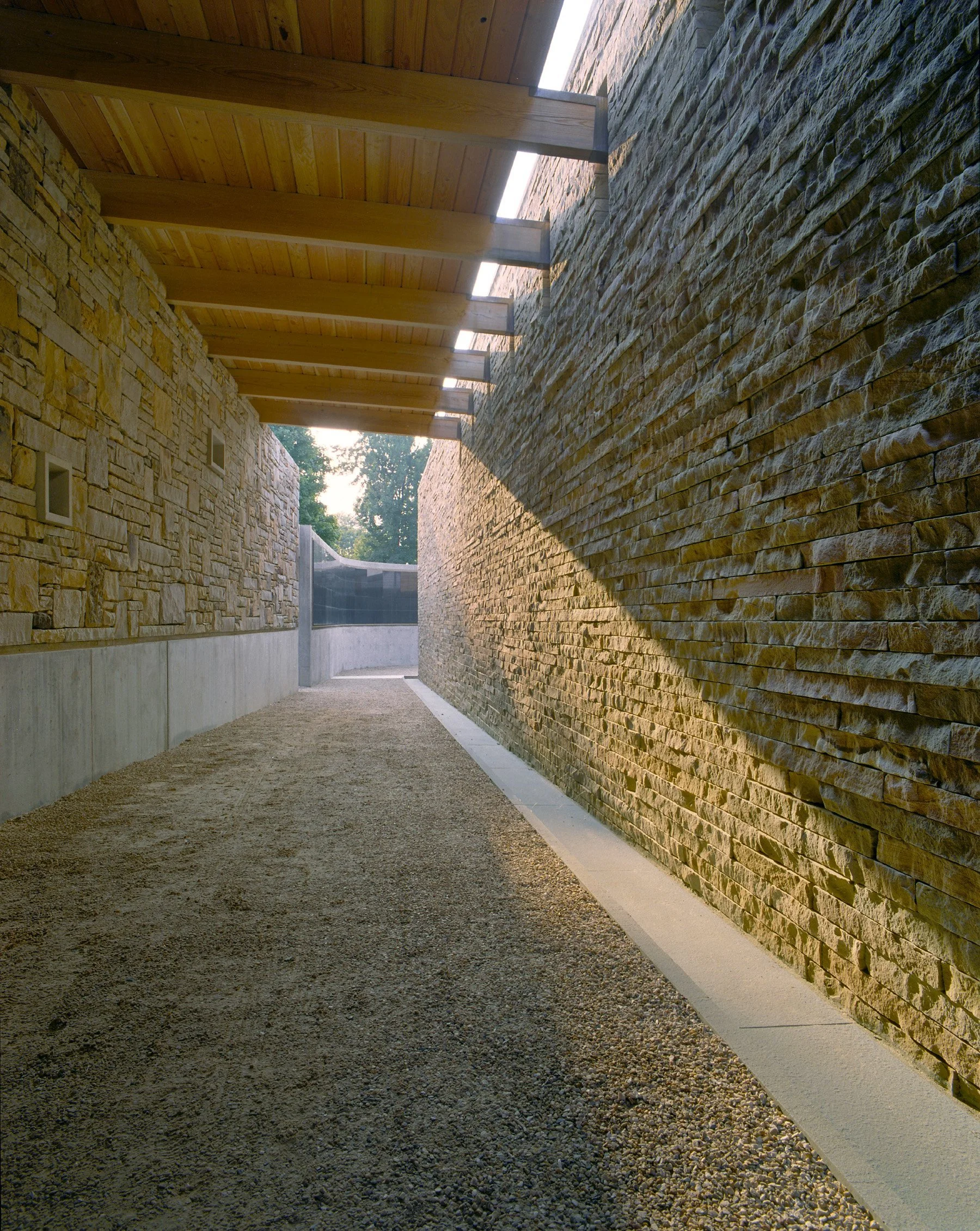 Richmond architecture firm SMBW's design for Belvedere Gardens 