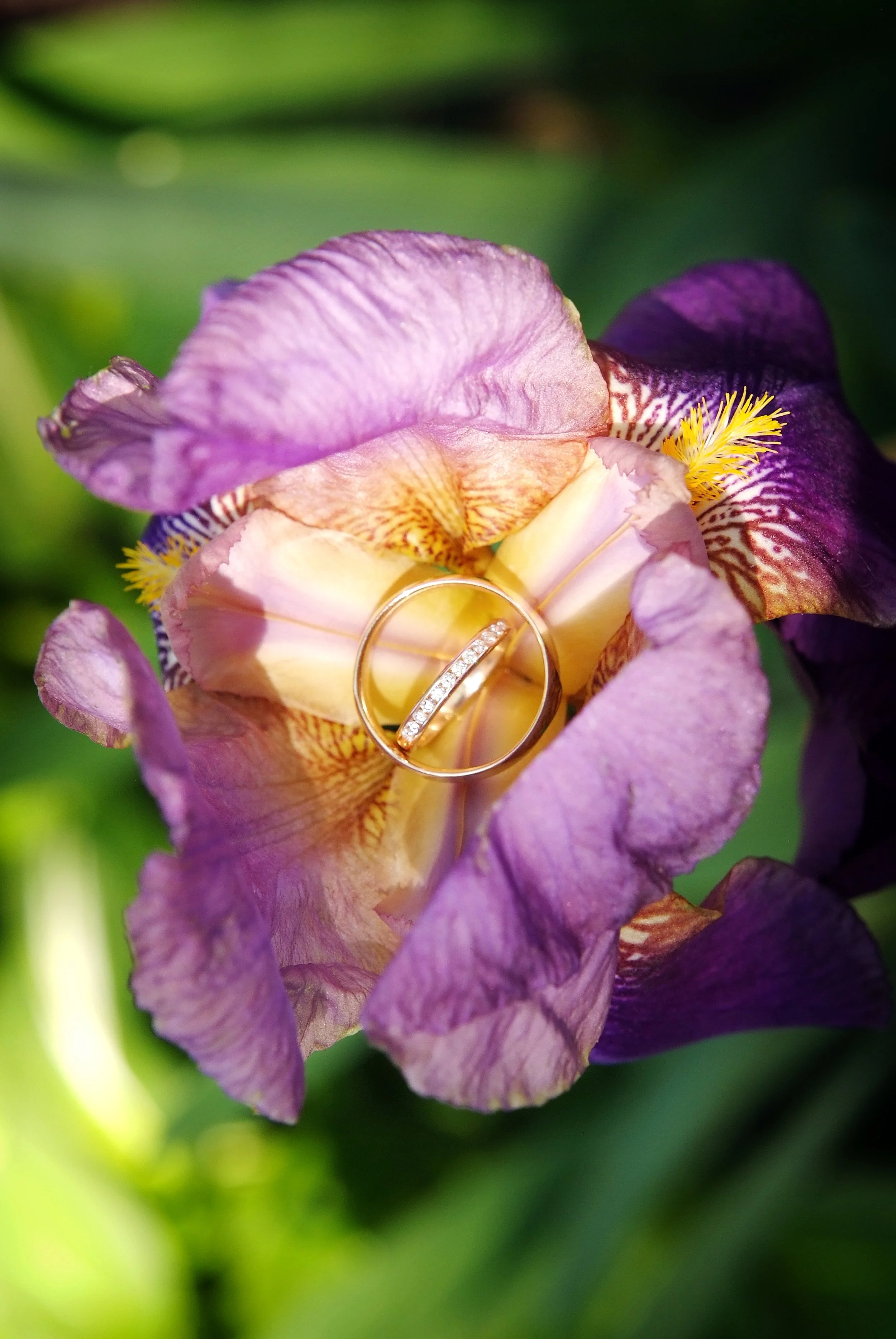 Aubrey & Ido 1, May 18 2012 111.JPG