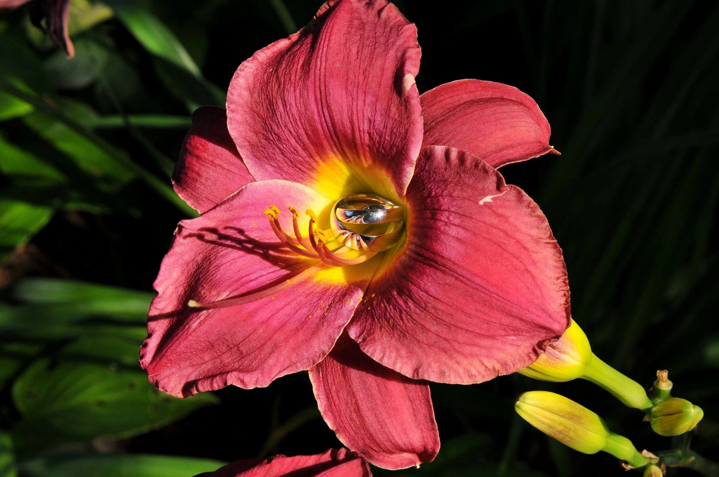 Amy & Sean Wedding, 2012 108.JPG