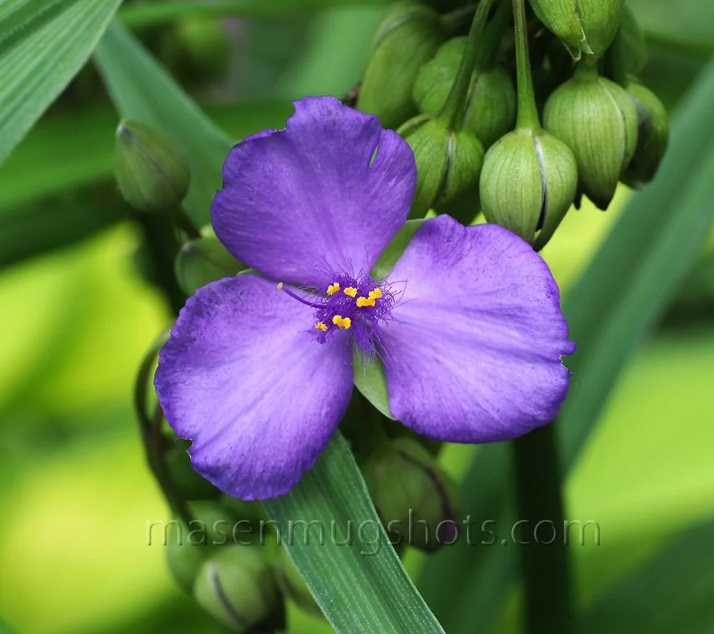 what's the problem.jpg