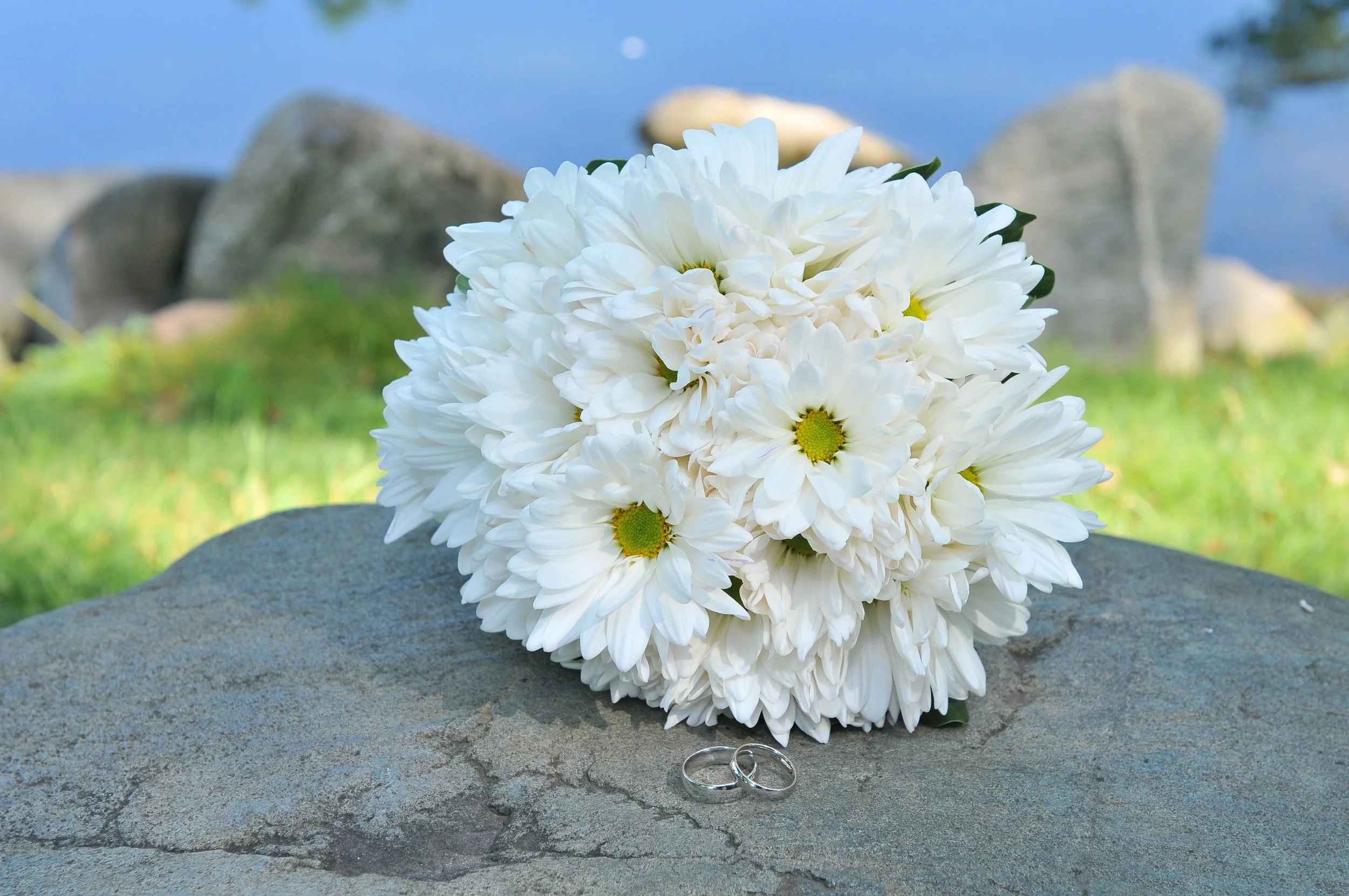 Amy & Sean Wedding, 2012 287.JPG