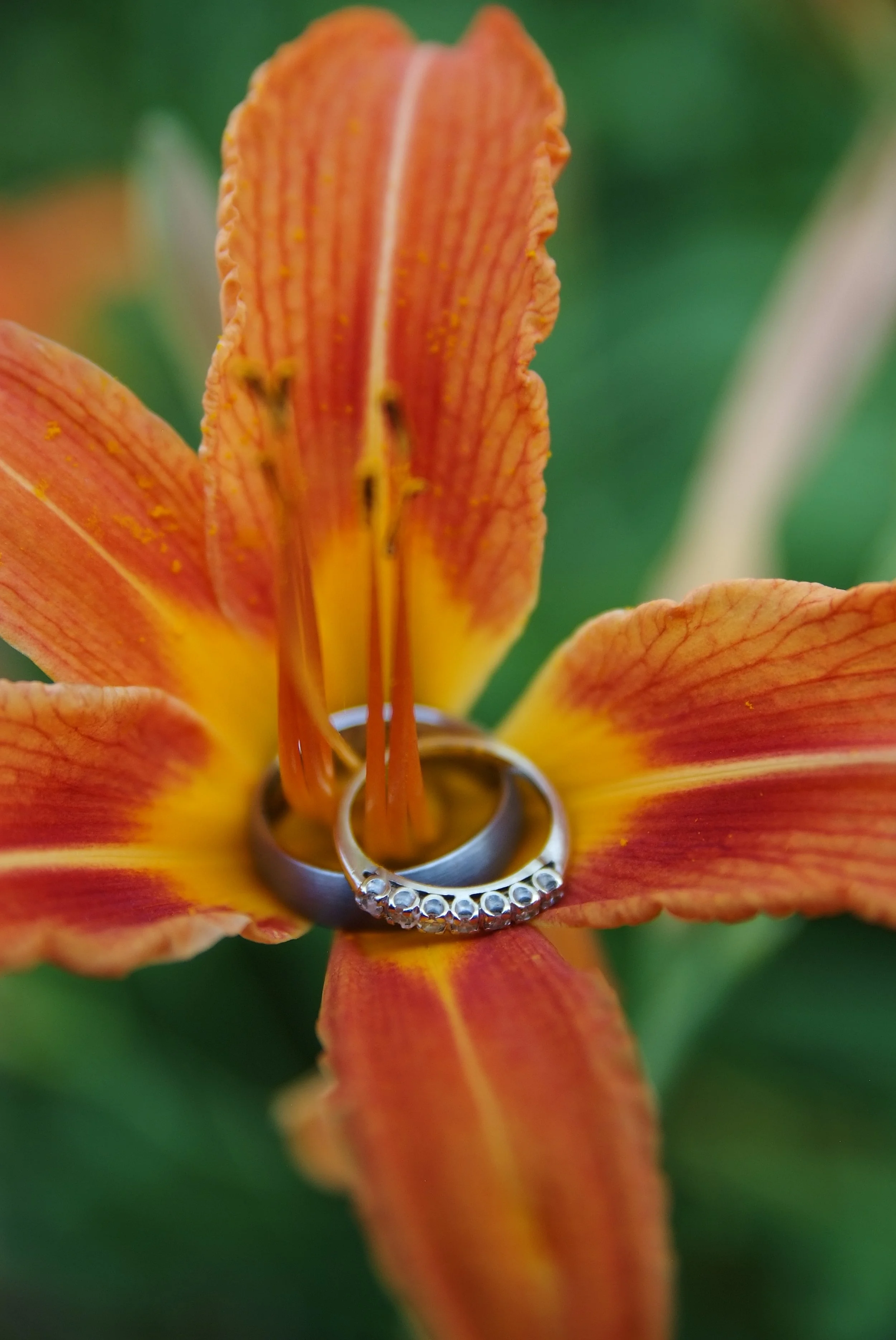 Caroline & Mike, June 15, 2012 302.JPG