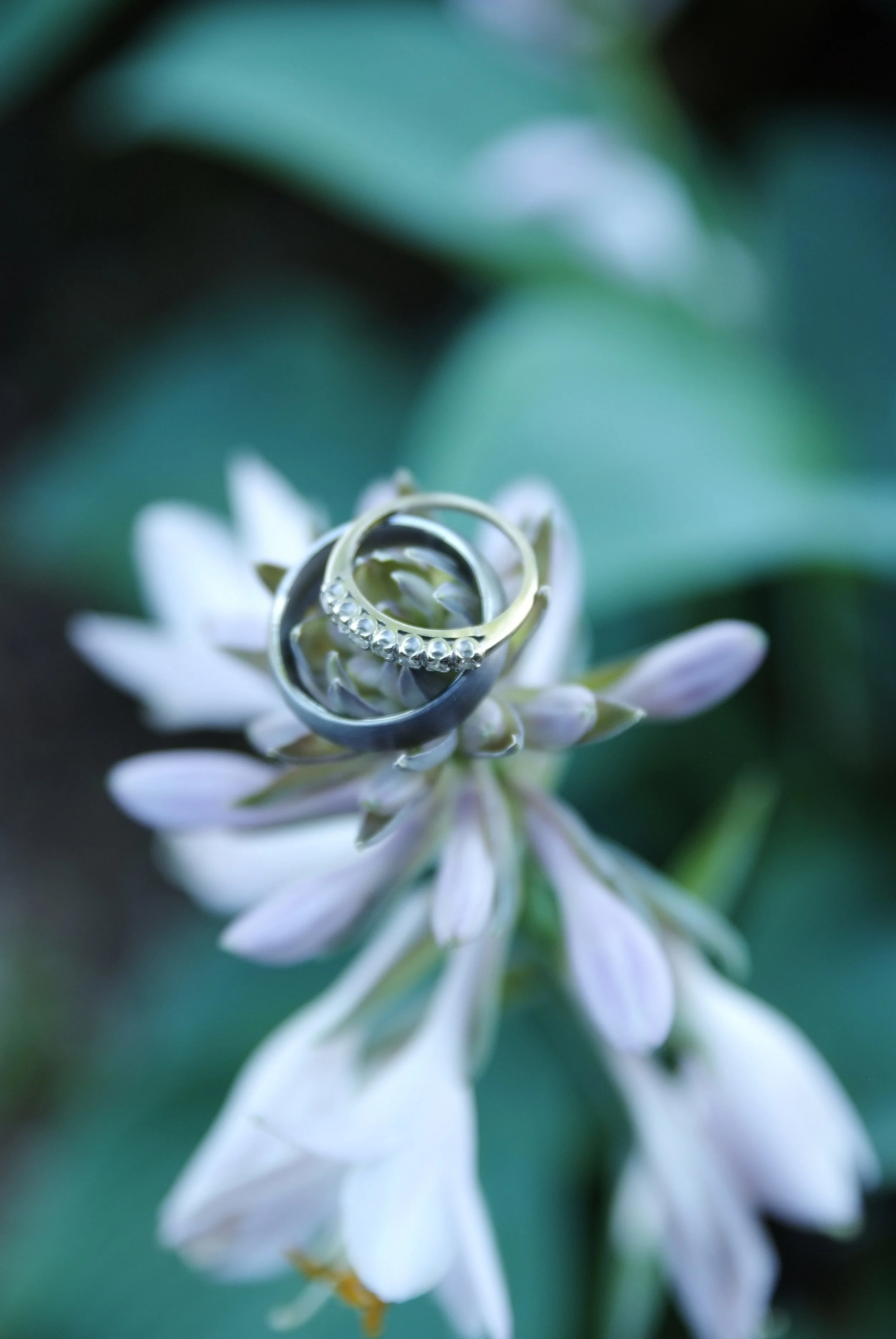 Caroline & Mike, June 15, 2012 288.JPG