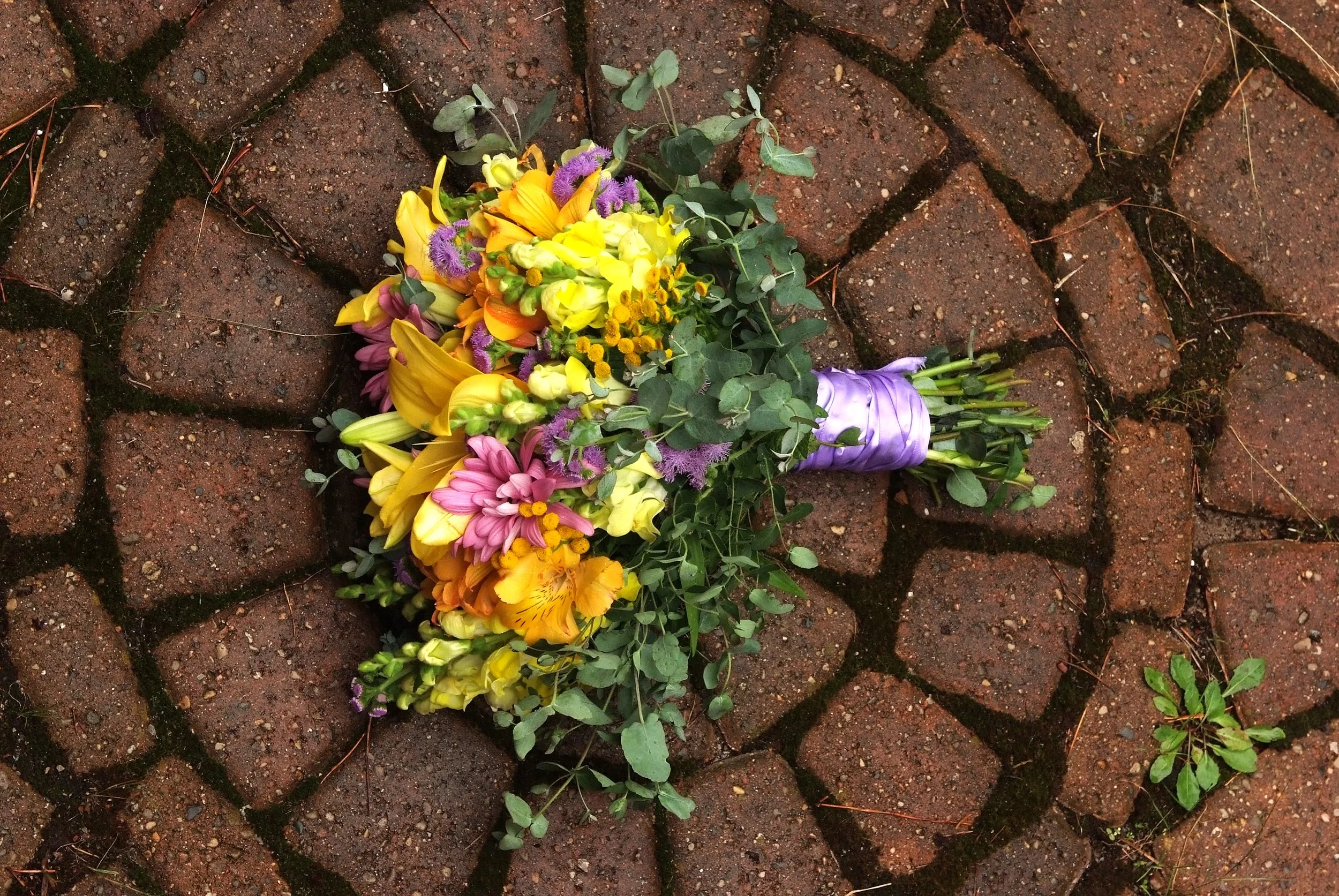 Johansson Wedding, 82110 (75).JPG