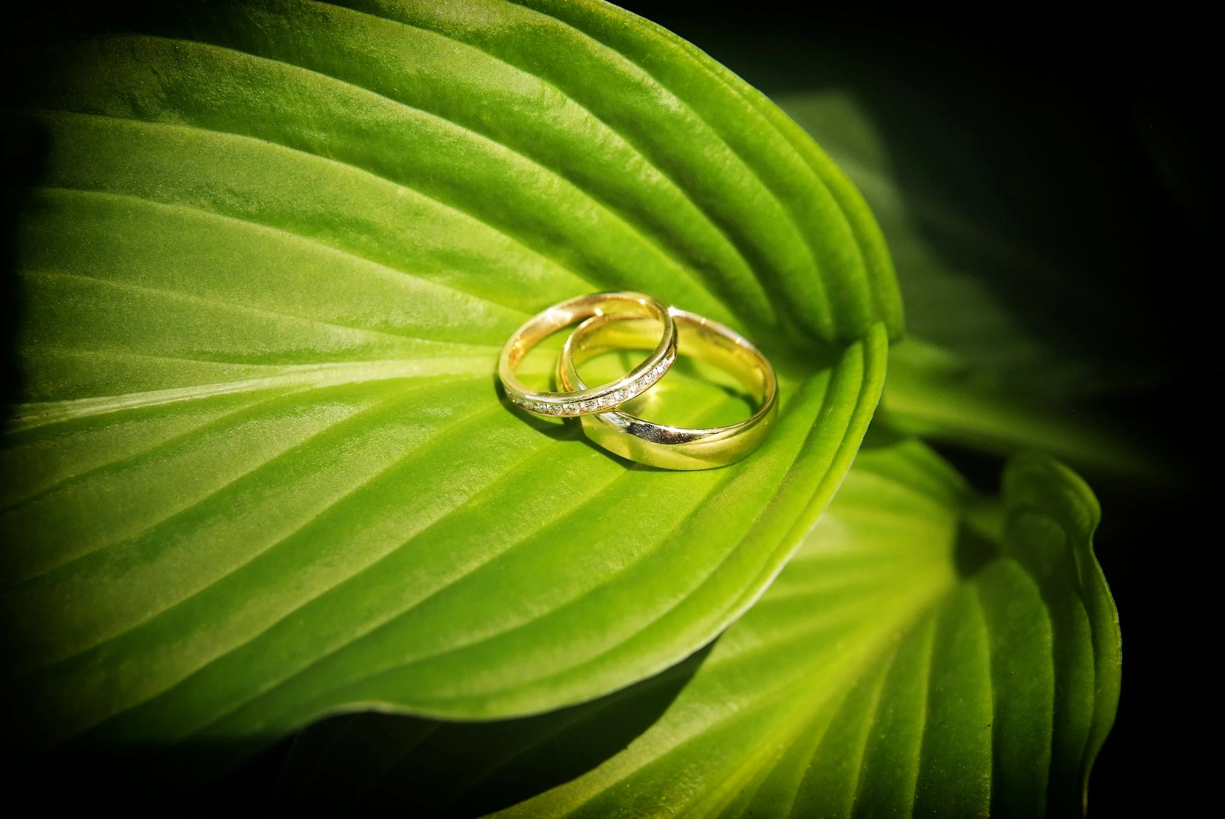 Aubrey & Ido 1, May 18 2012 101.JPG