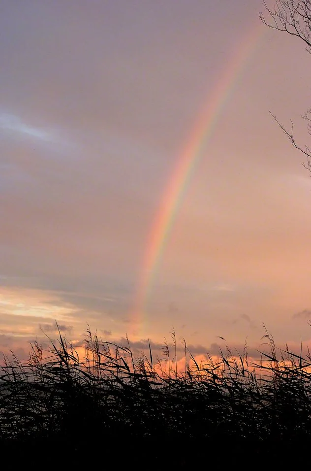 Final Camping Mackinaw, July 2010 004.JPG