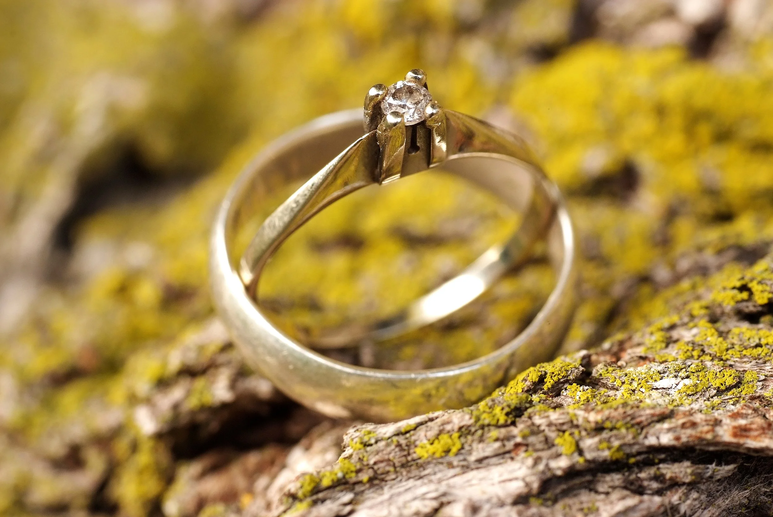 Johansson Wedding, 82110 (259).JPG