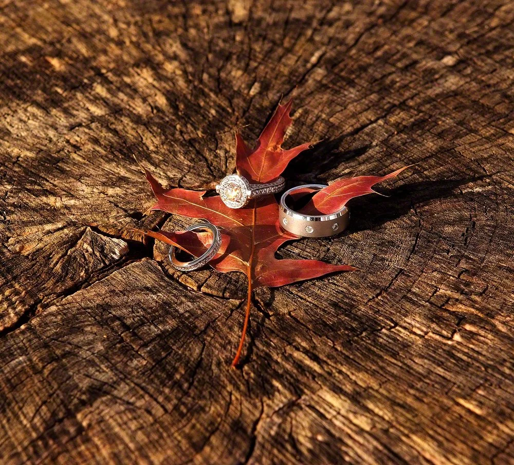 Brad & Suzanne, October 30, 2010 (145).JPG