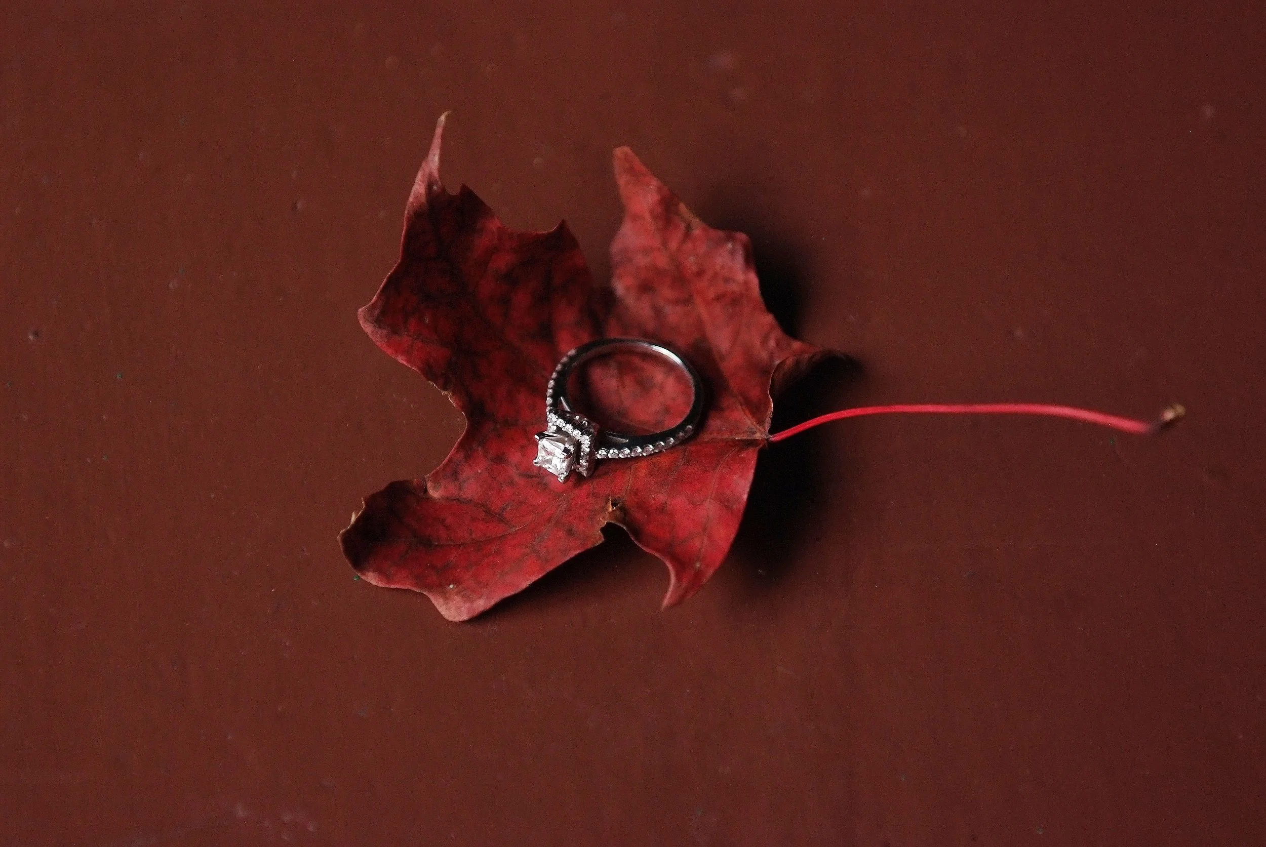 Nick & Katie, October 2011 (16).JPG