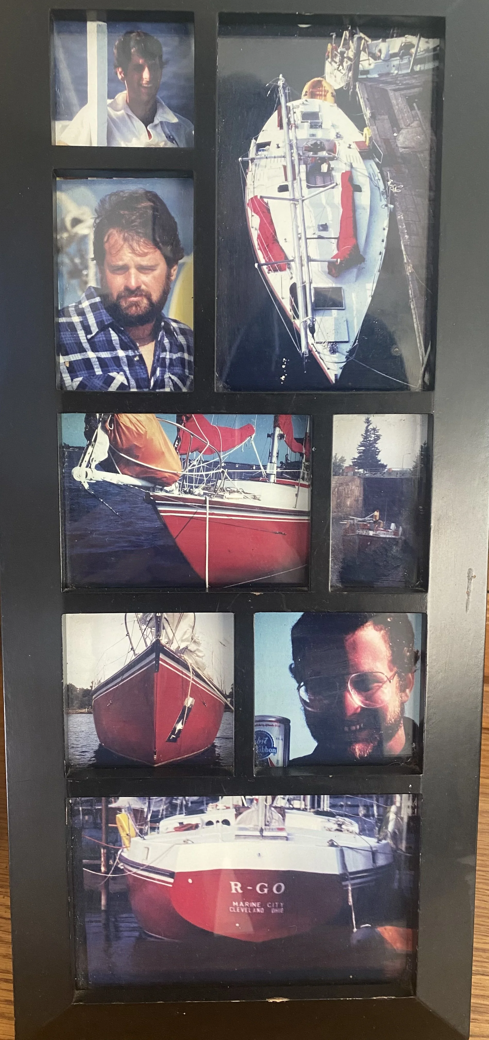 R-GO Collage.jpg