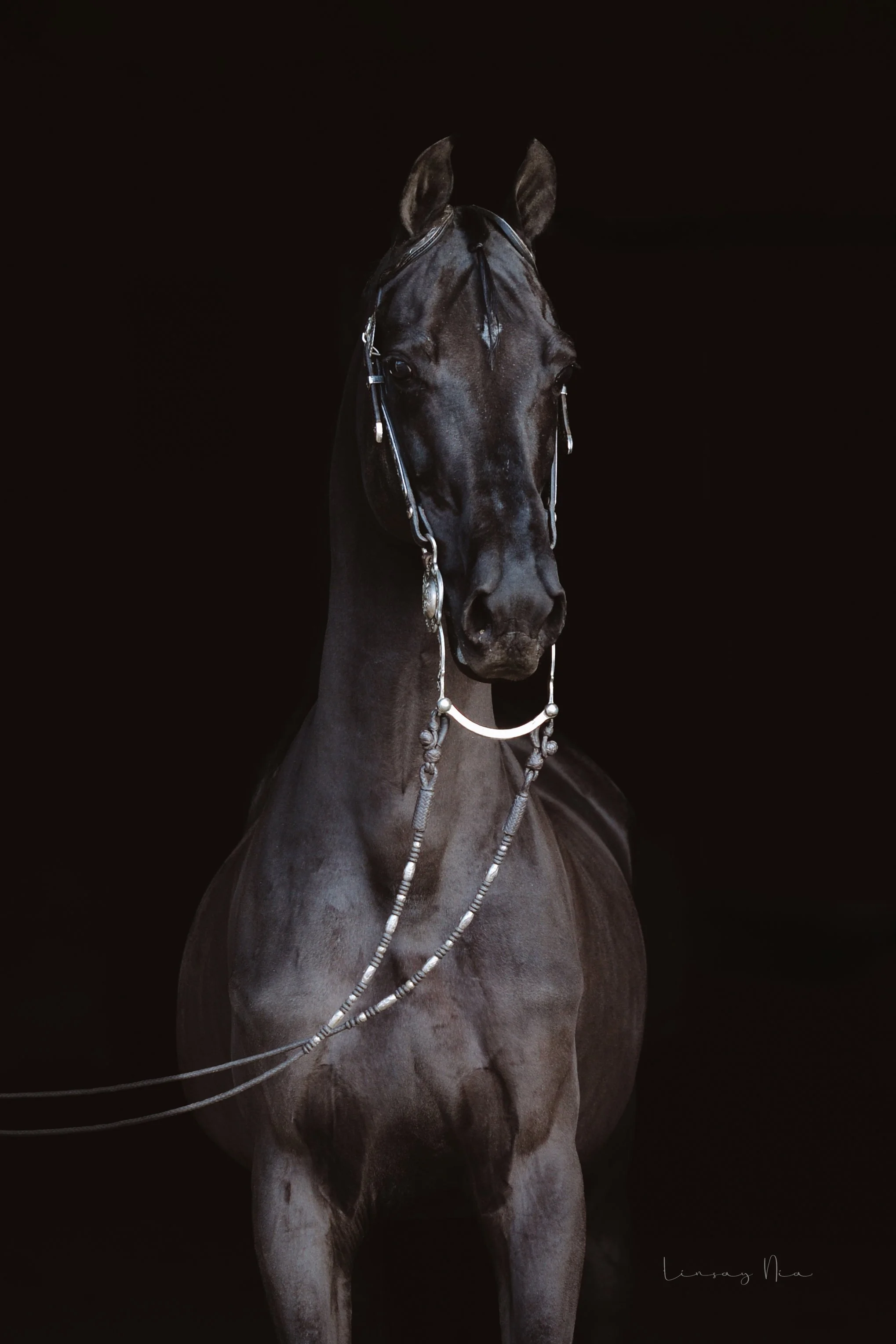 Nov2024_HDS-2 copy.jpg