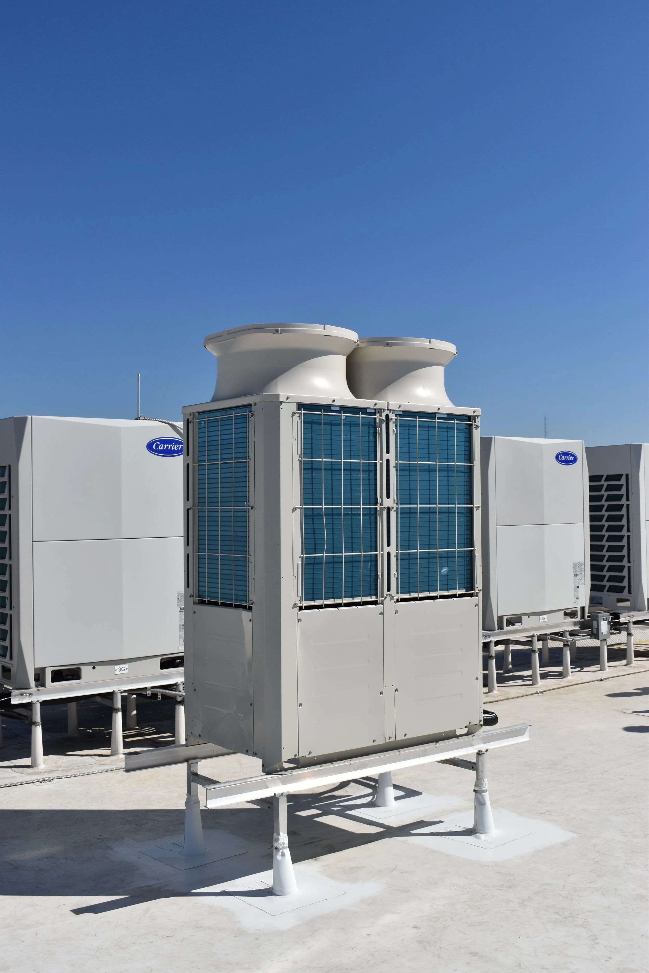 Campbell Spellicy Primo Hoagies GNV 8.JPG