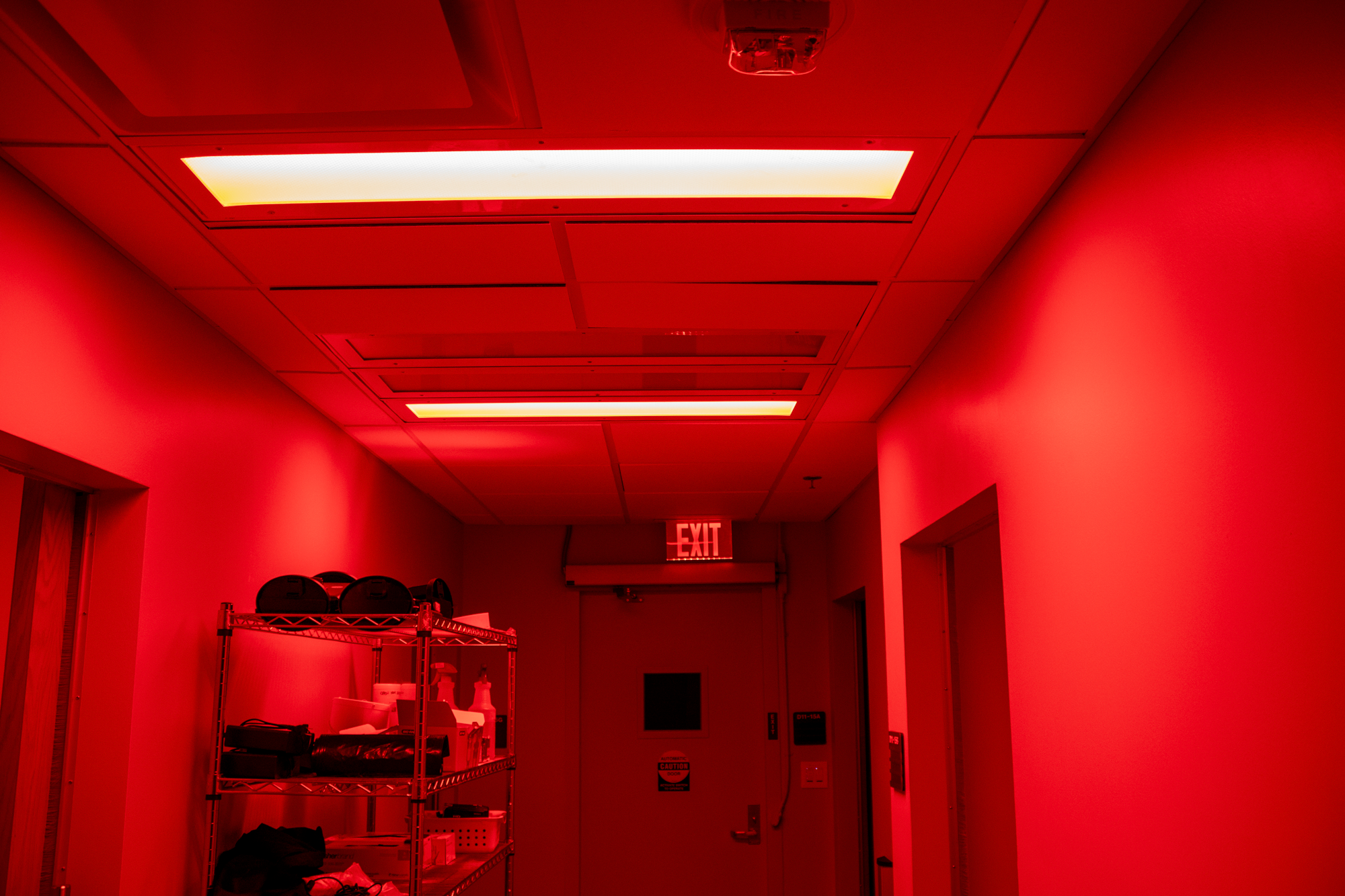 Red_Lights_UF_Dental_Science_Building_Lab.png