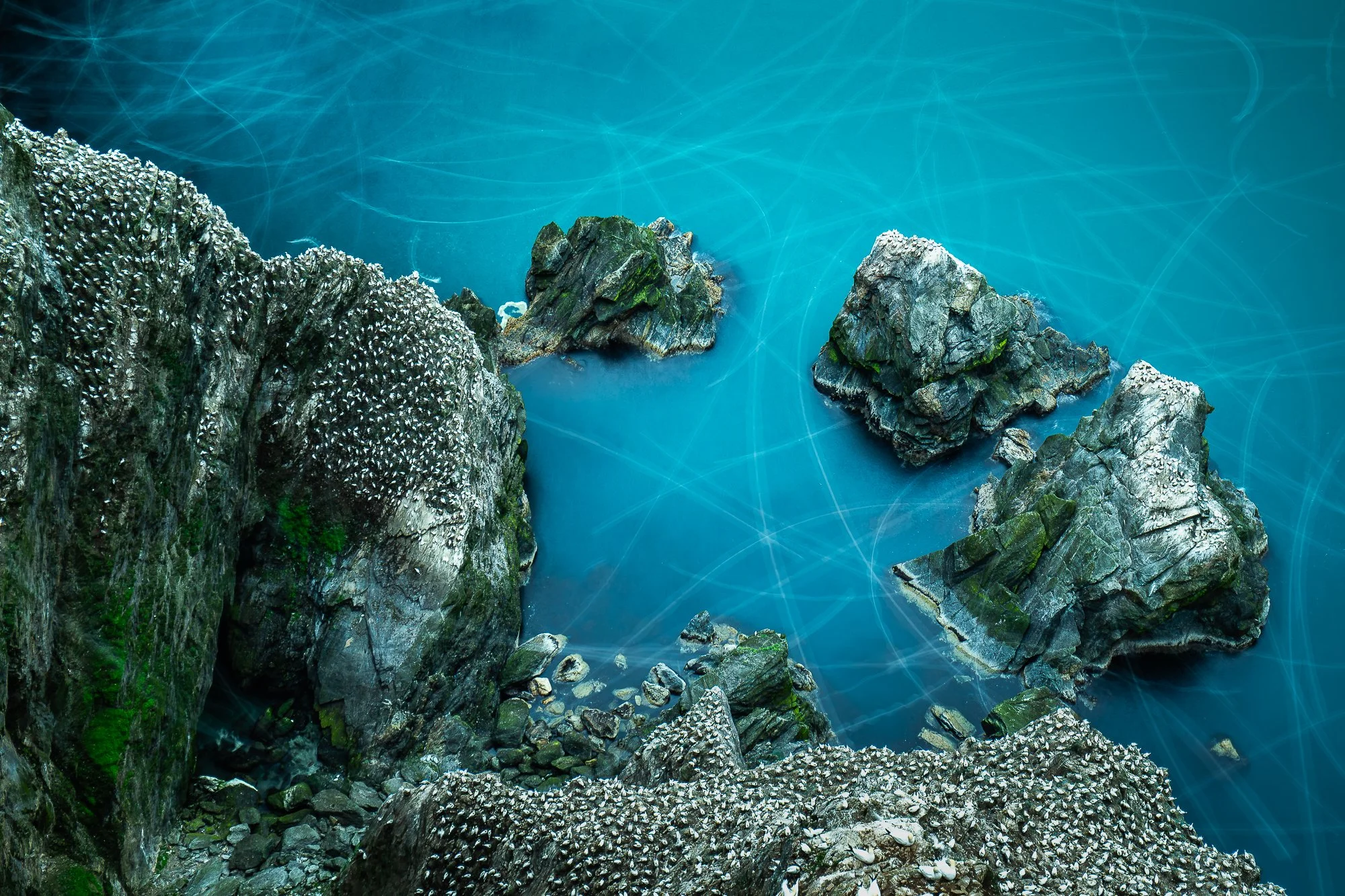 20190625-Gannet Highway_RAW.jpg