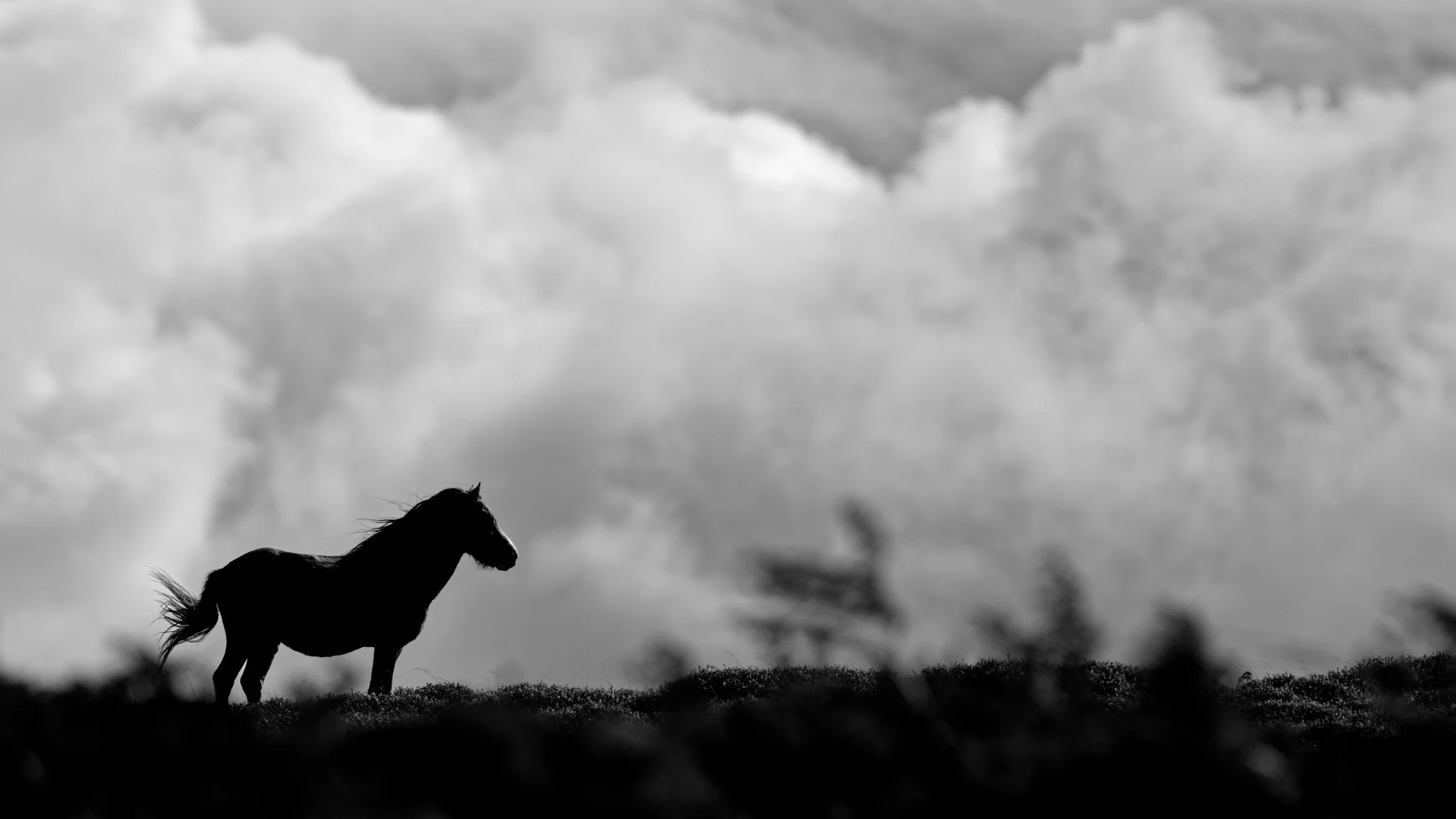 2026-09-26-Carneddau-021.jpg