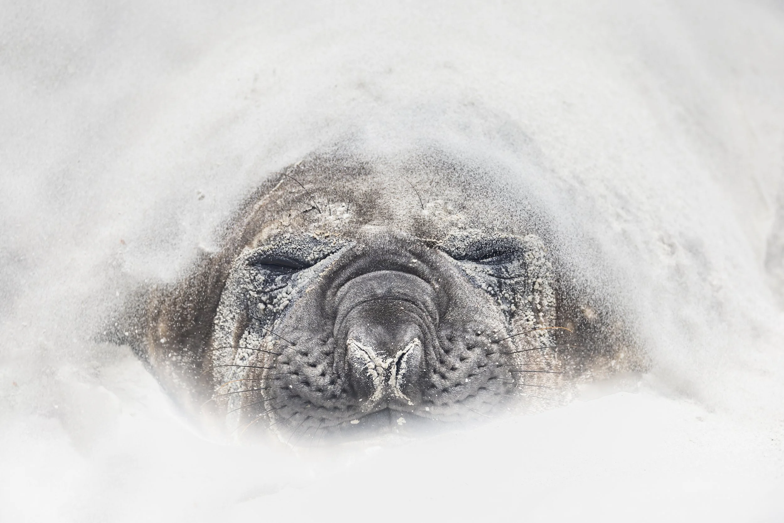 Falklands-HIGHRESF2024-9857-2.jpg