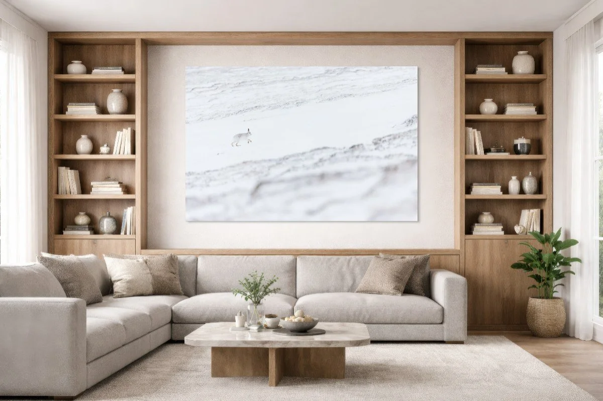 wall-preview-modern-living-room-with-built-in-bookshelf-62.2x41.4in.jpg