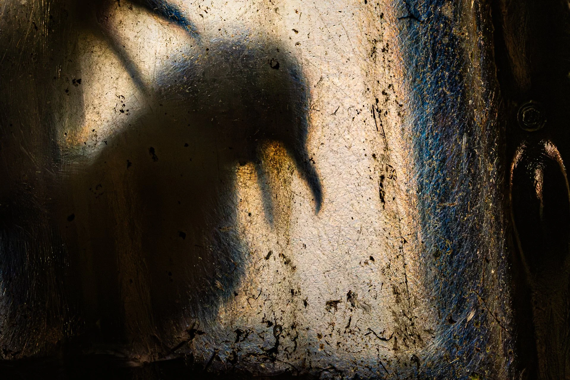 MontPhoto-5.jpg