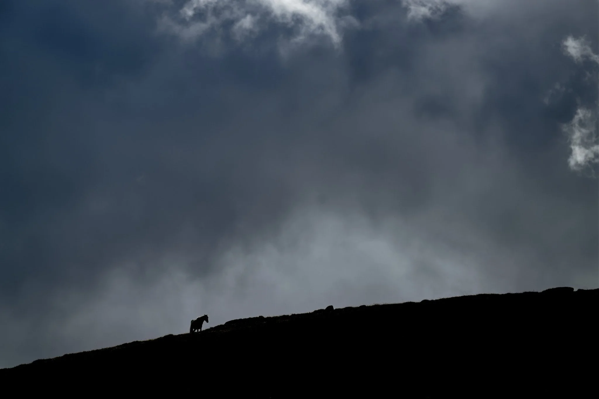 2026-09-26-Carneddau-075.jpg