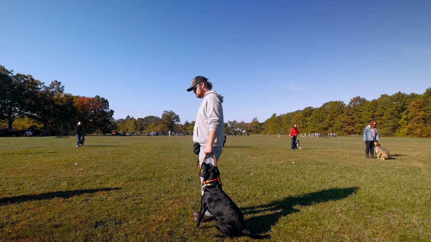 Dog Training — Genetic K9 - Canine Genetic Training Programs
