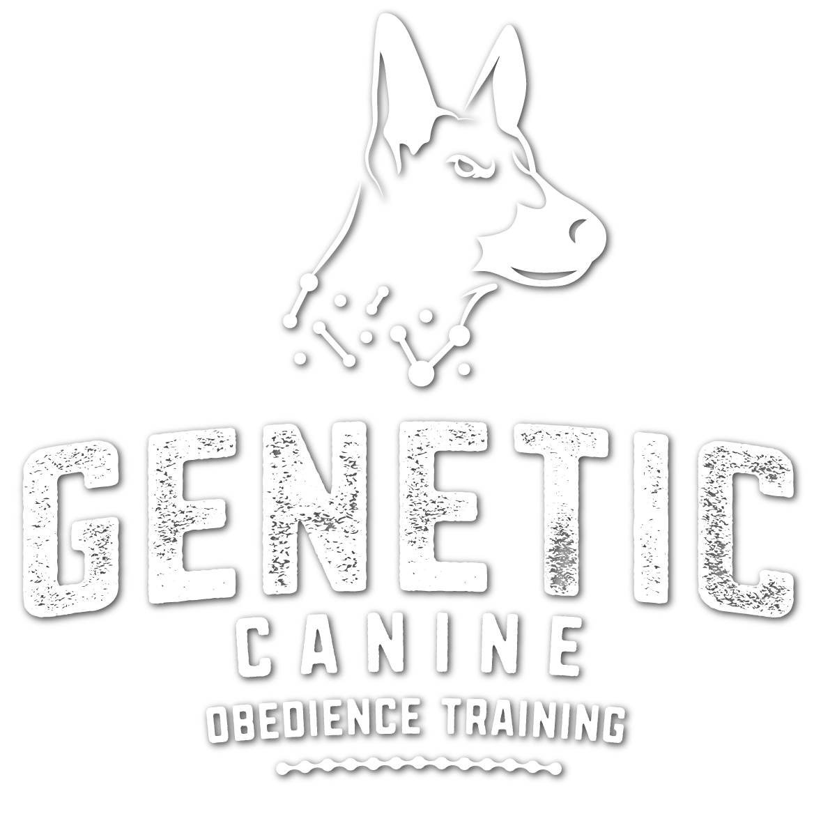 s-t-a-r-puppy-program-genetic-k9