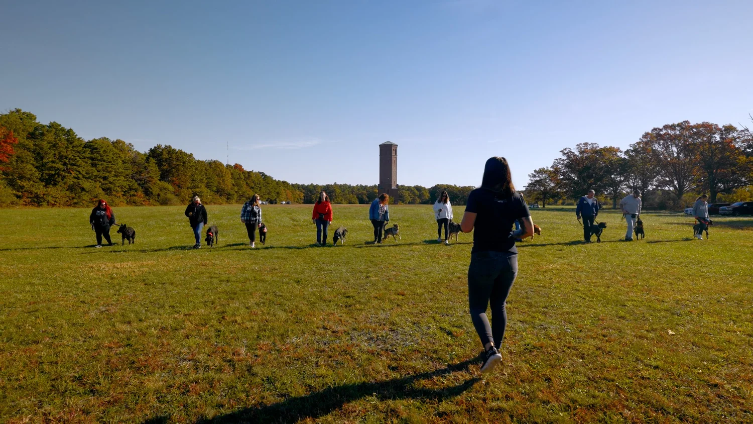 View of Dog Training — Genetic K9