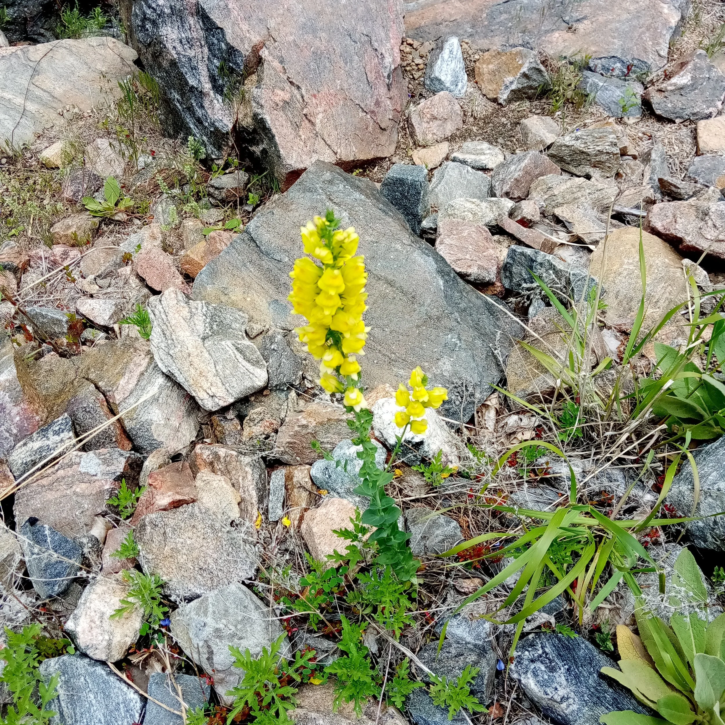 March Newsletter