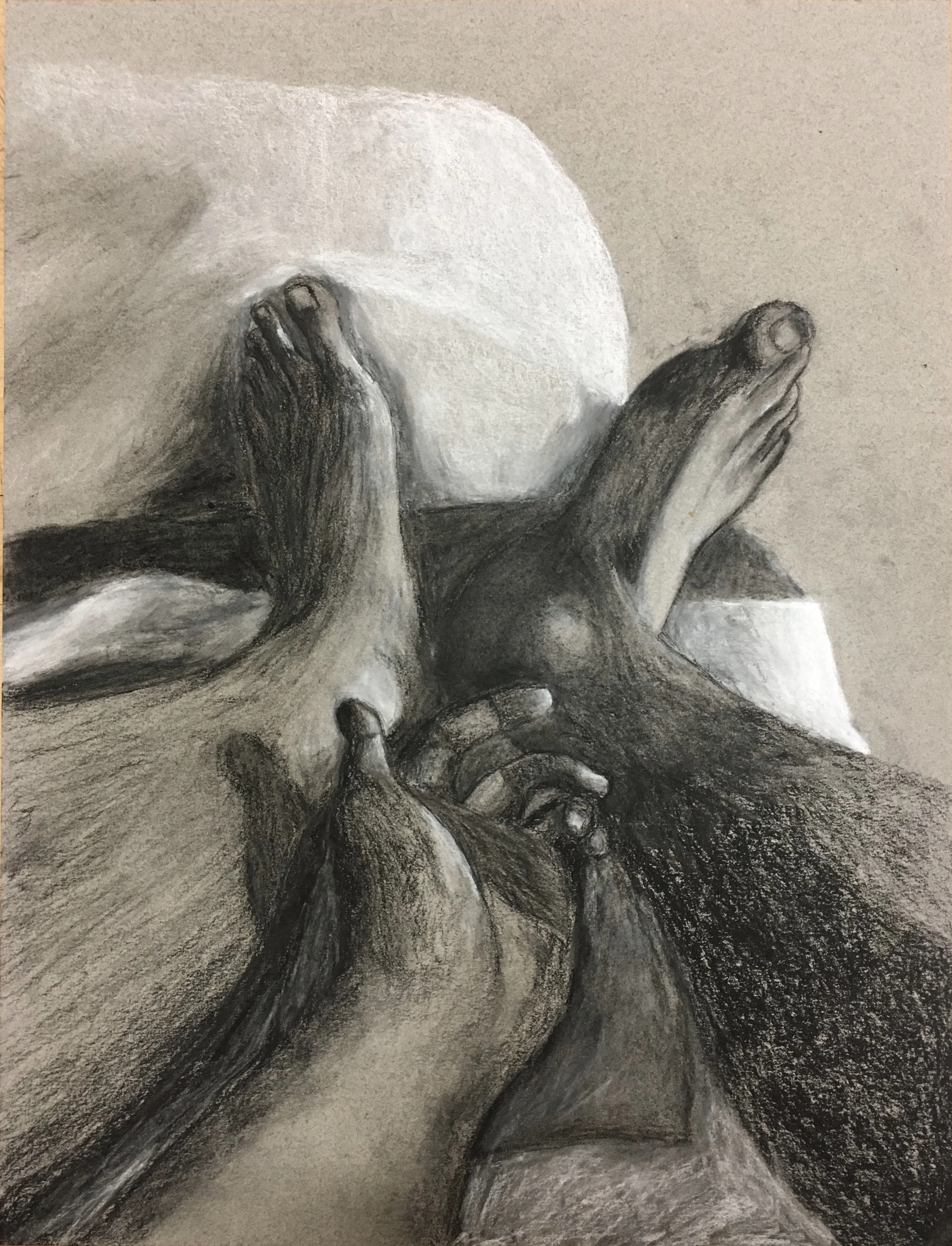 hands and feet.jpg