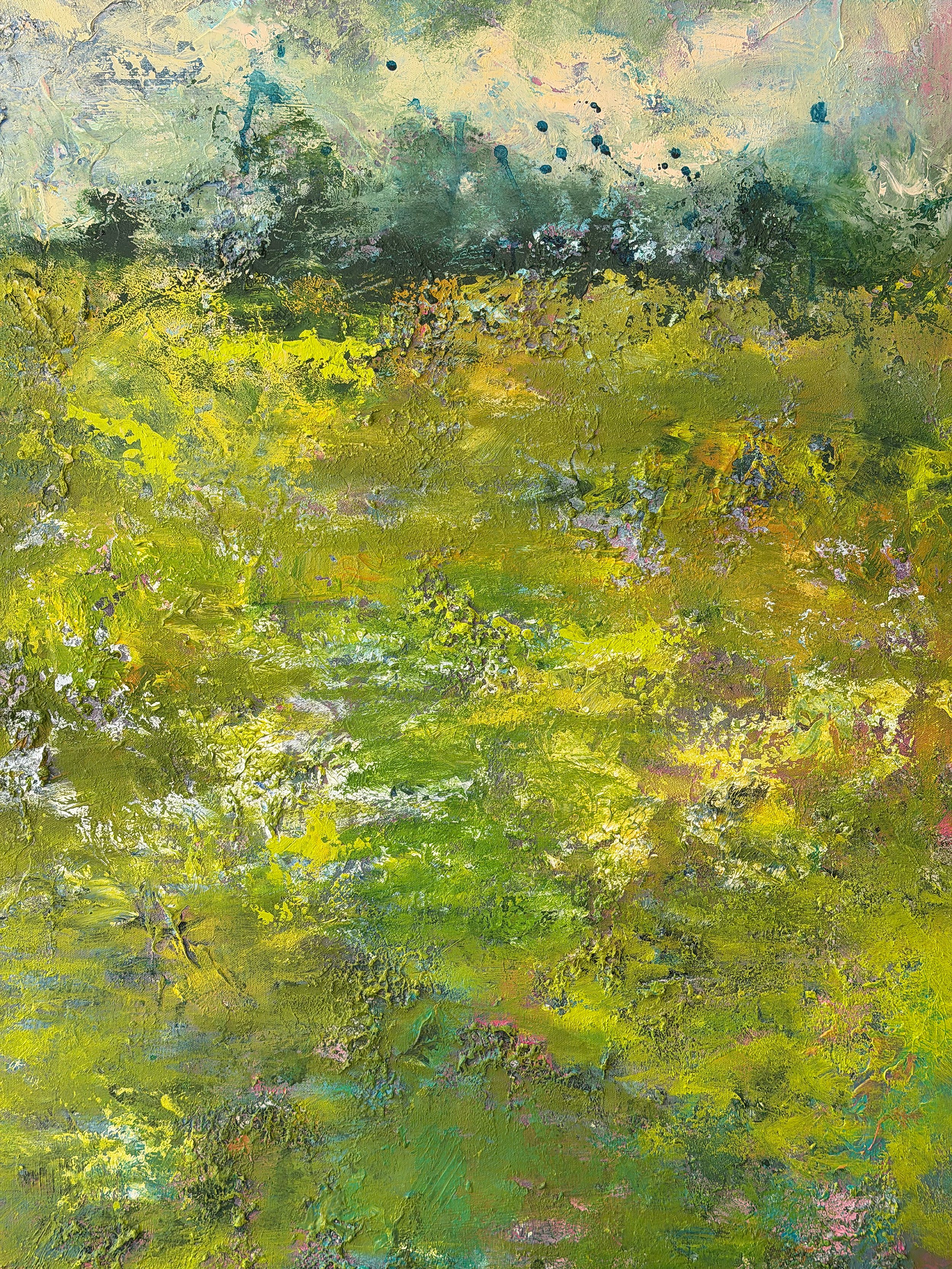 Field  Of Light