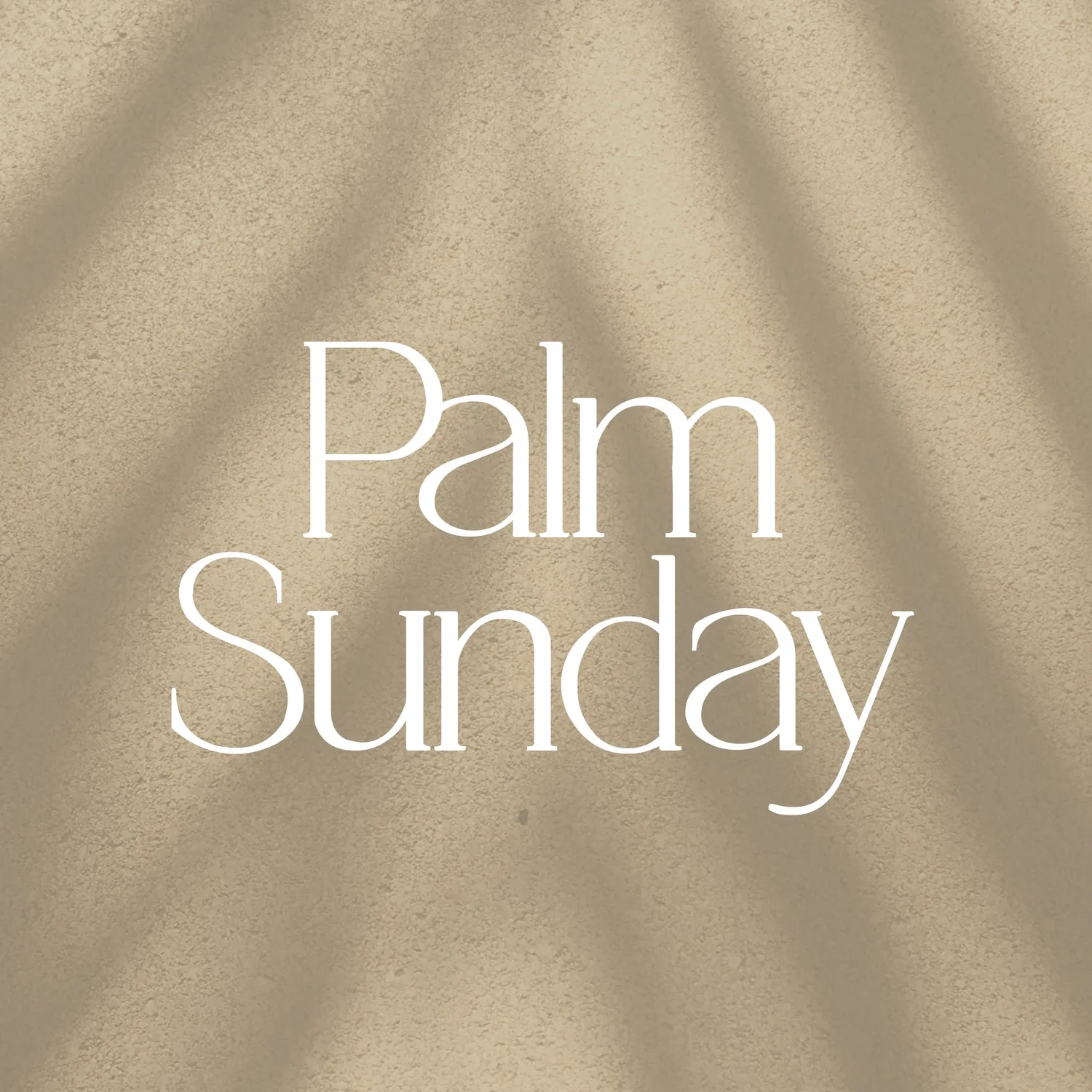 Palm Sunday episode artwork