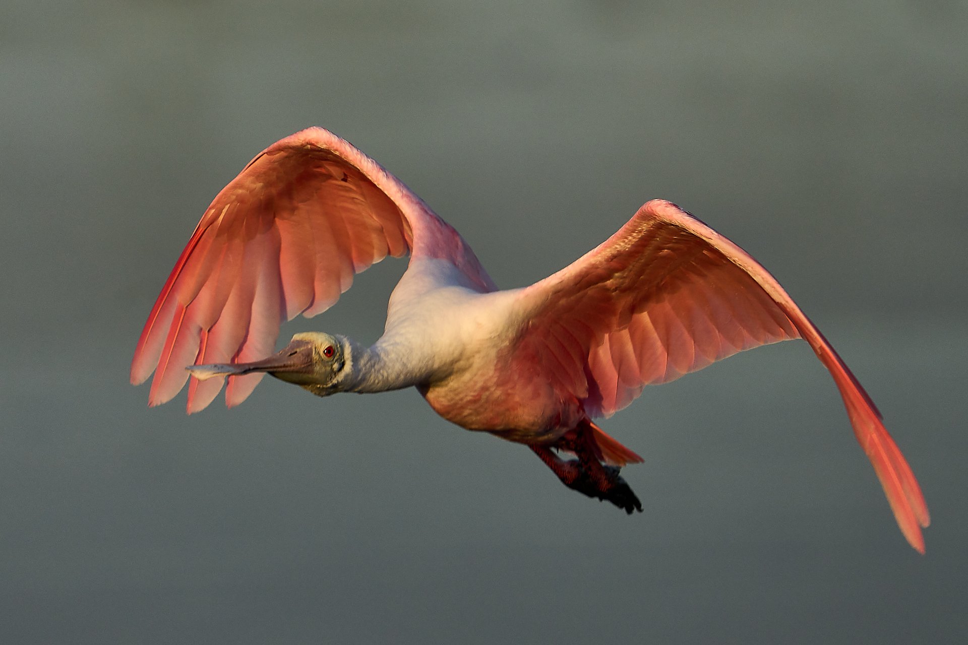 Florida_DSC1033 1.jpg