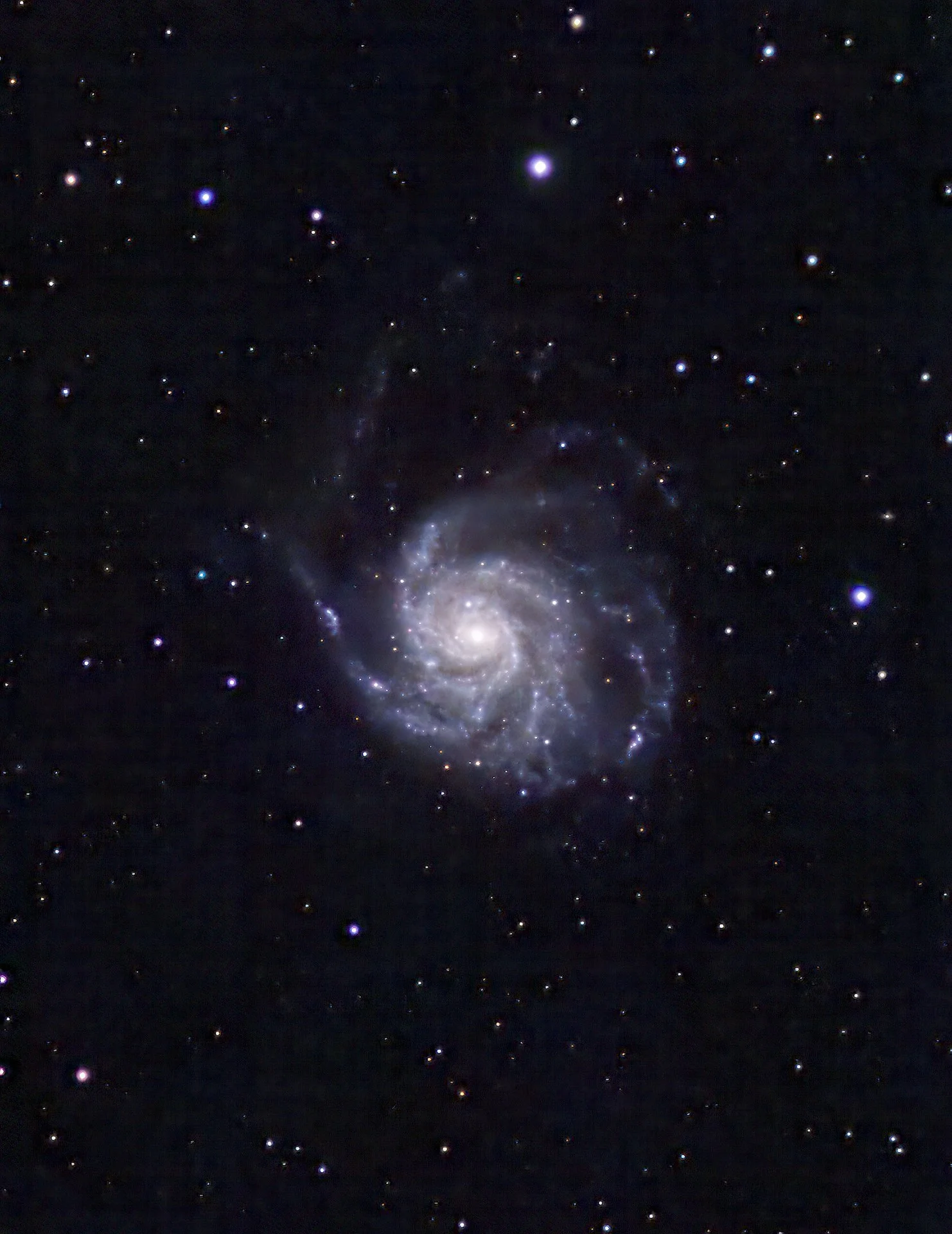 Pinwheel Galaxy