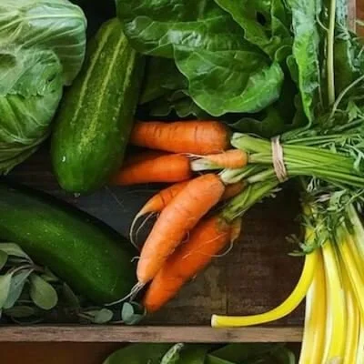 Fresh veggies good for the behavior analysts' mind