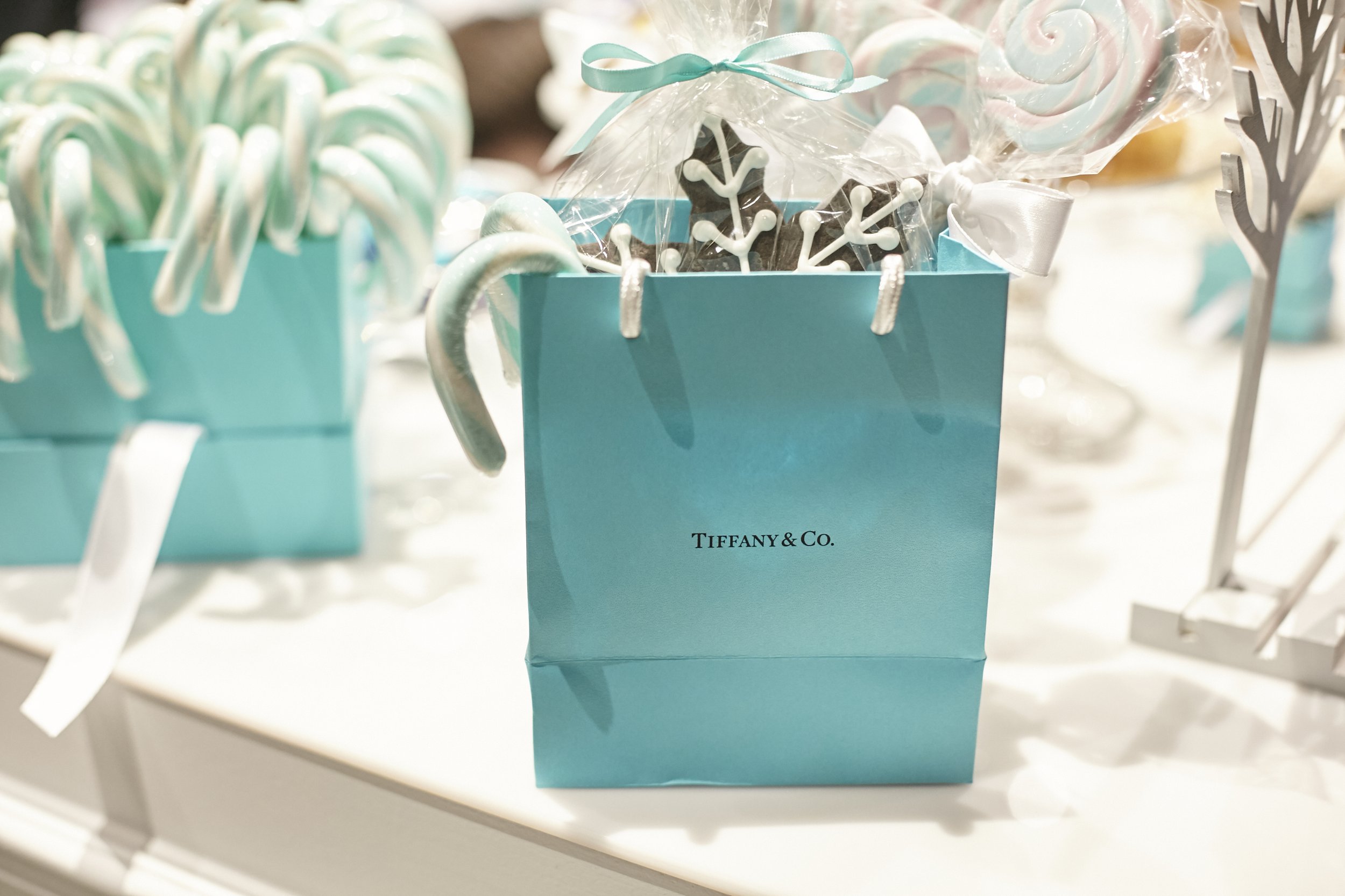 Tiffany_120614_113.jpg