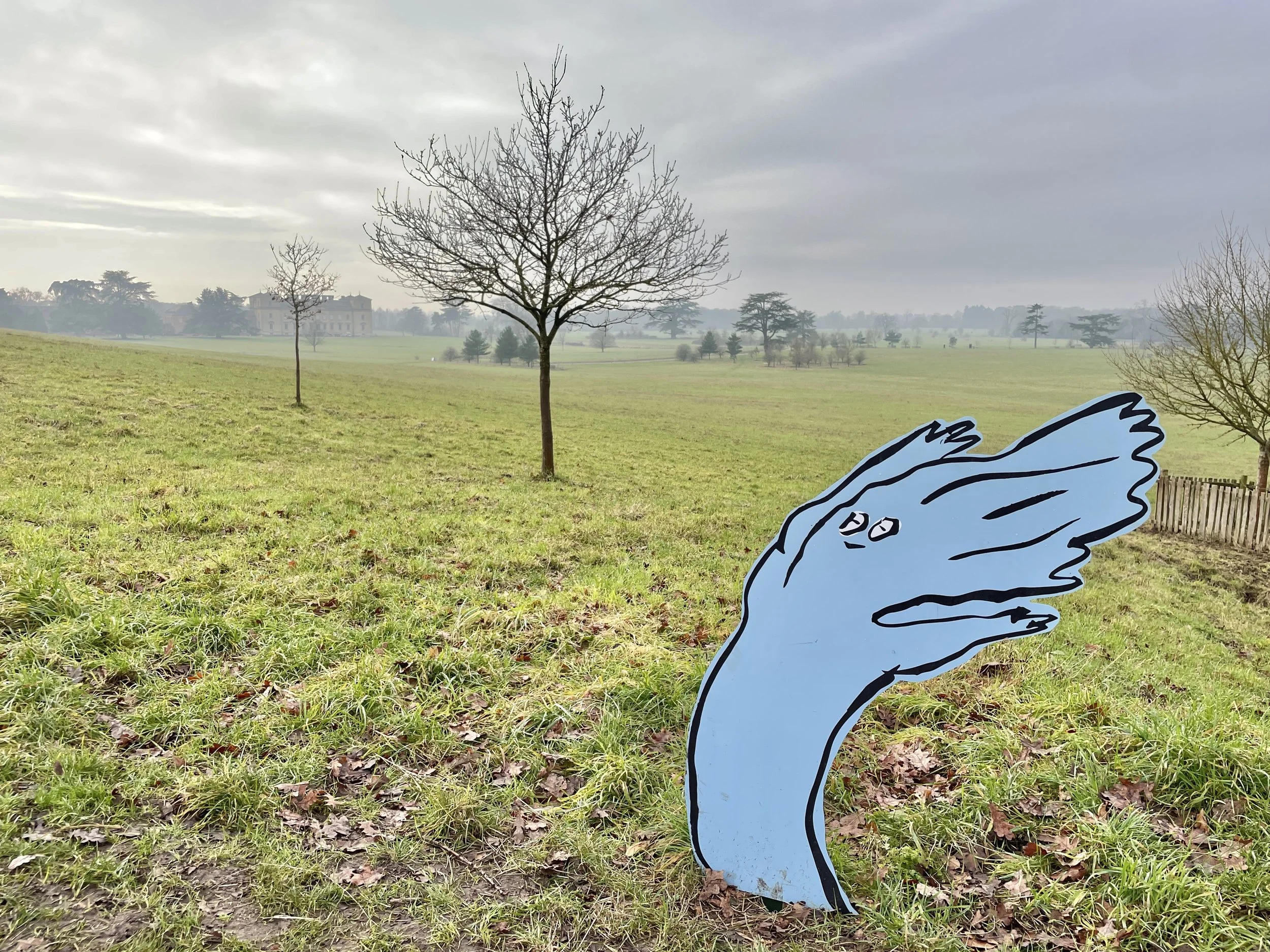 Wild Imagination, 2024