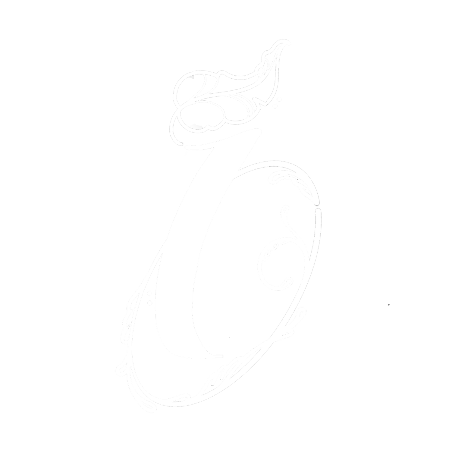 intended &amp; co.