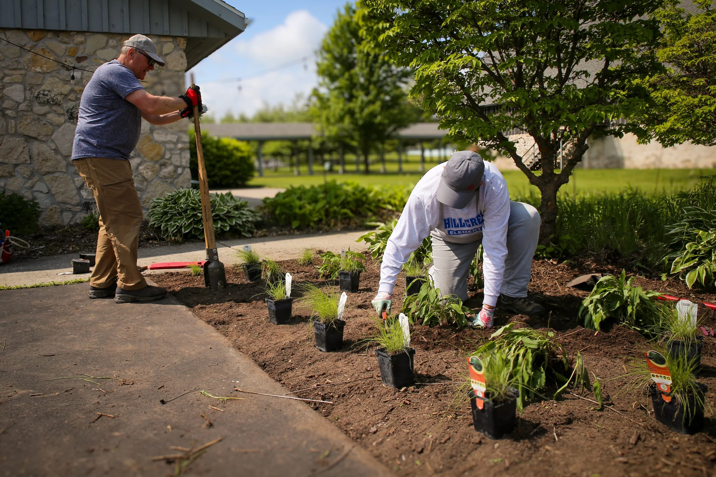 Two people planting plants in a garden bed outdoors with trees and a building in the background.