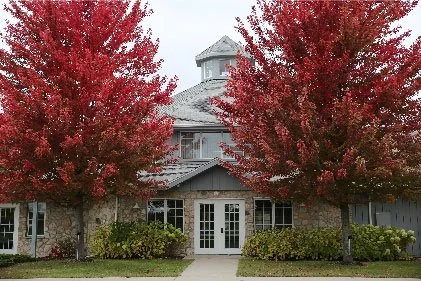 A house with a gray roof flanked by two large red-leaved trees, with a front door and windows.