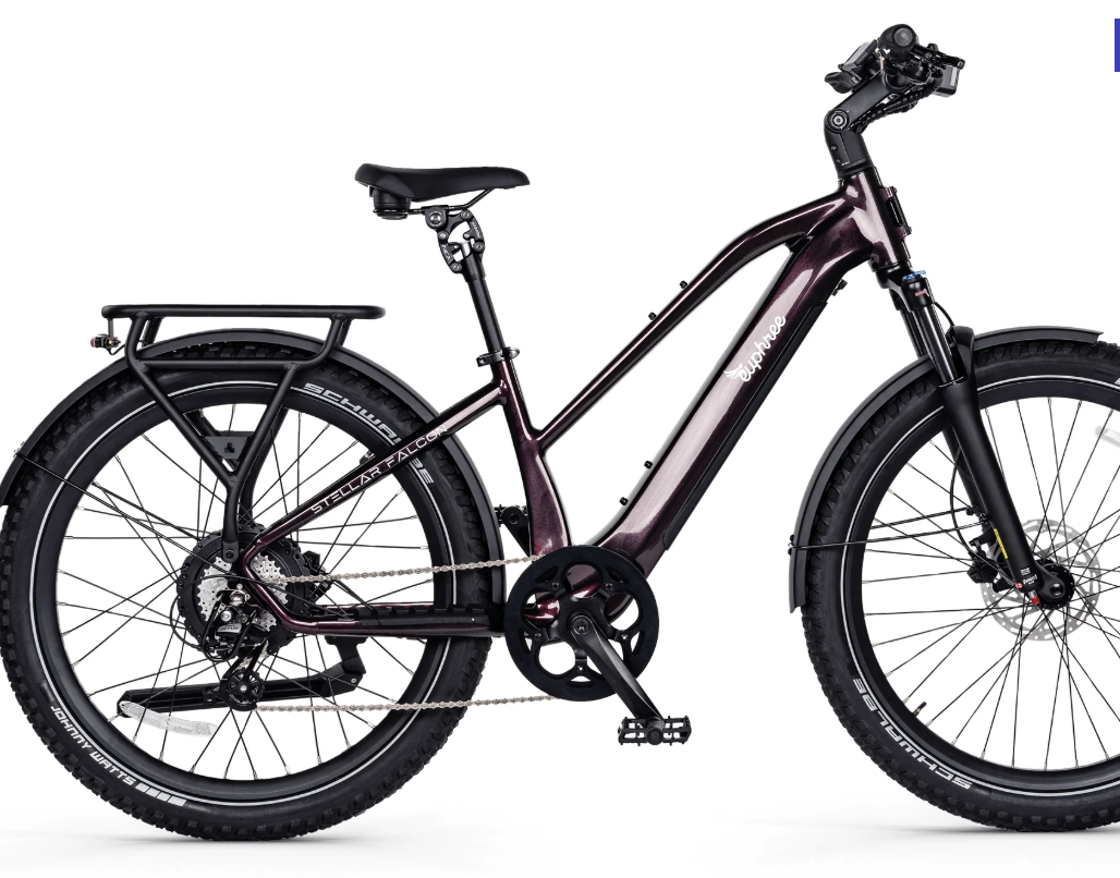 Euphree Stellar Falcon Mid-Step