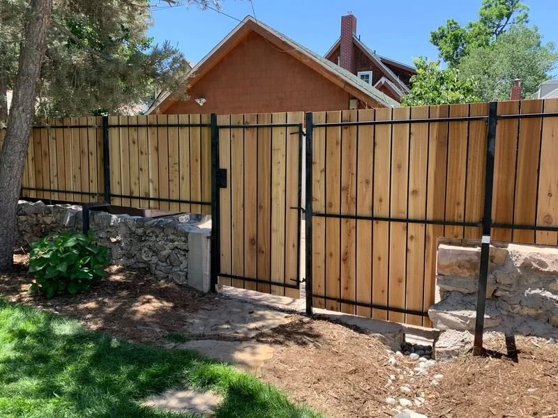 fence with gate3.jpeg