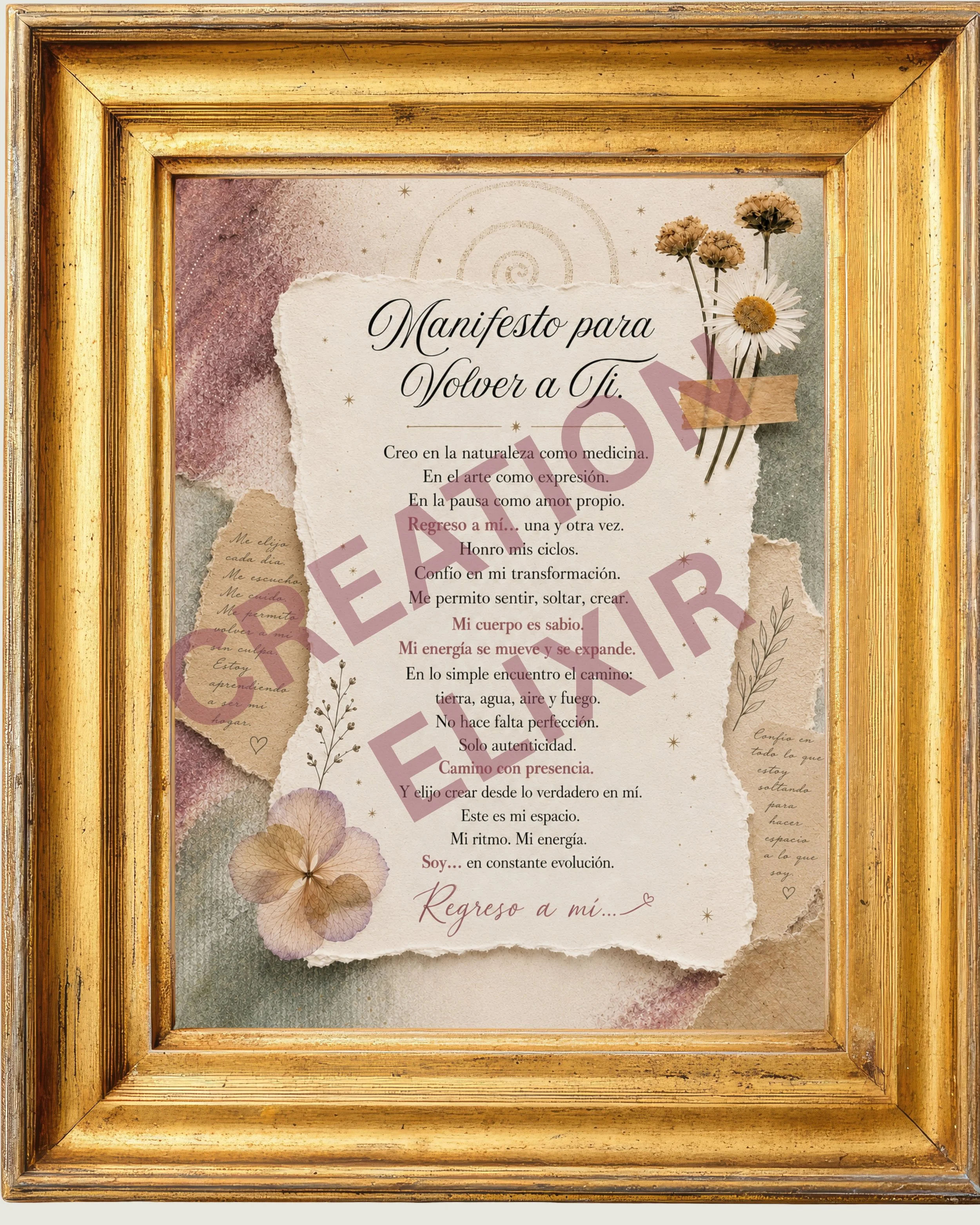 Manifiesto Creation Elixir