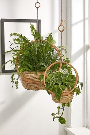 hanging-macrame-plants.jpeg