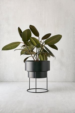 black-potted-plant.jpeg