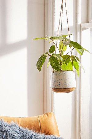 hanging-cermaic-speckled-potted-plant.jpeg
