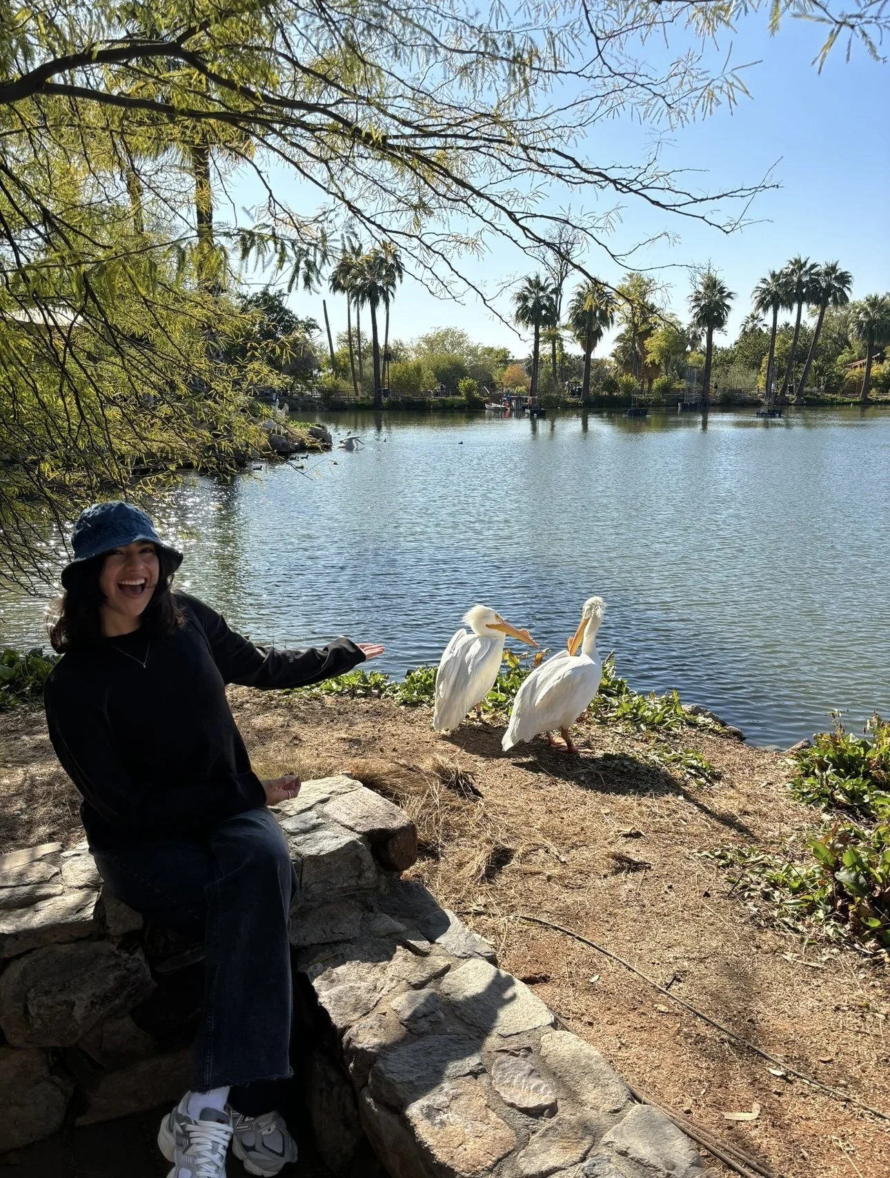 A woman smiling and pointing towards two pelicans near a body of water, with trees and a clear blue sky in the background.