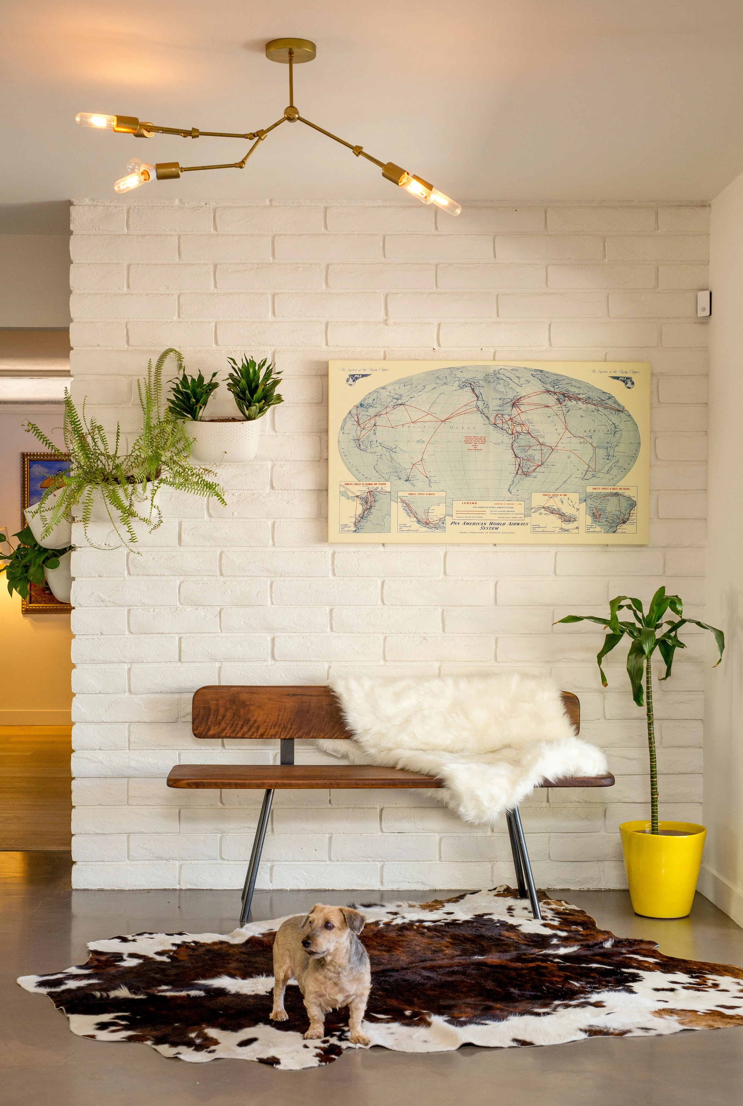 Creating Functional and Stylish Spaces: Interior Design Solutions for ...