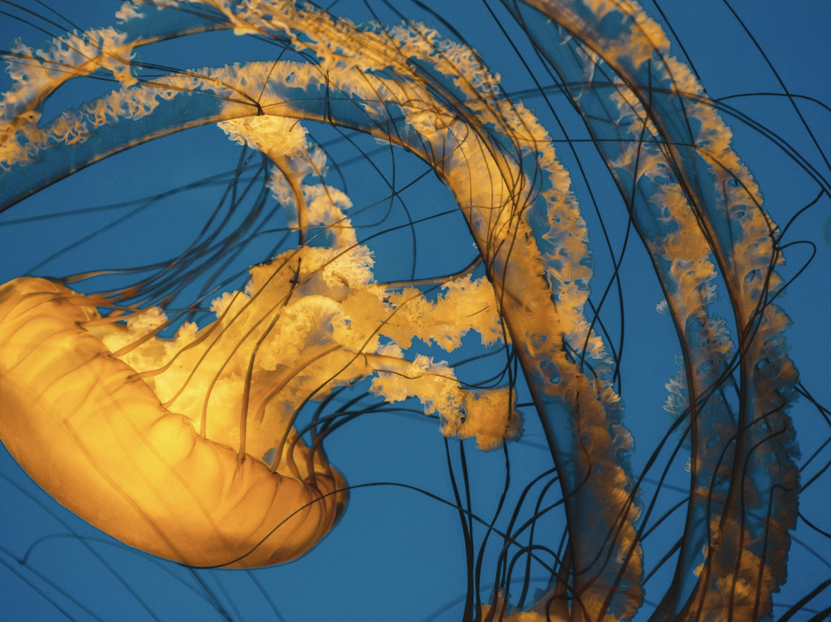 Screenshot 2024-12-19 at 7.55.43 PM.png